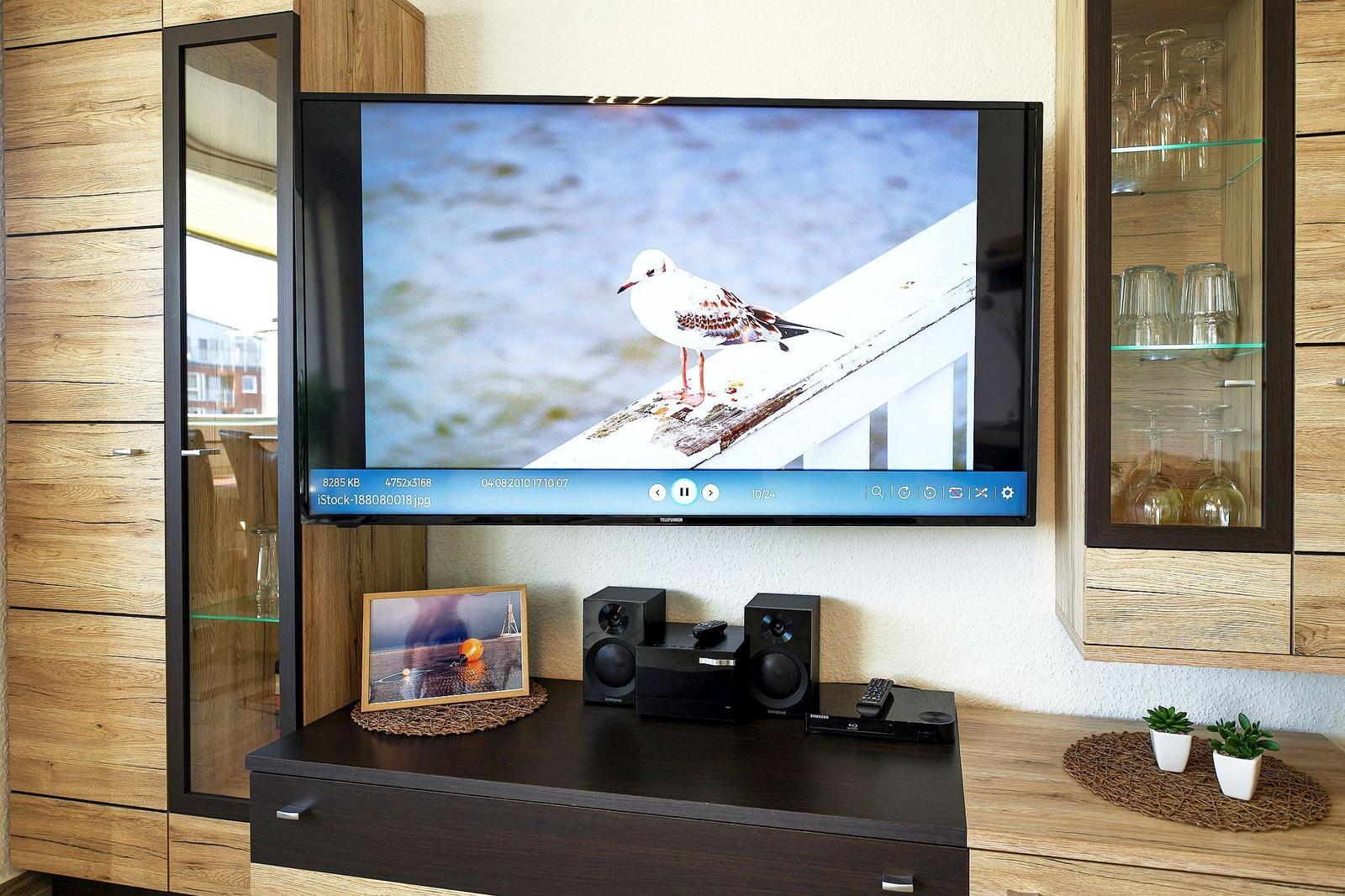 TV mit Vogelbild, Lautsprecher und Glasregal im Wohnzimmer.