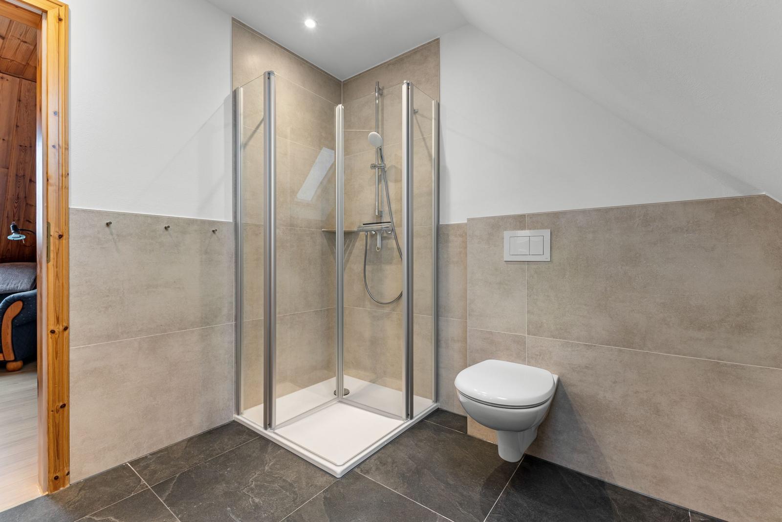 Dusche mit Glaswand, WC und Fliesenwand im Badezimmer