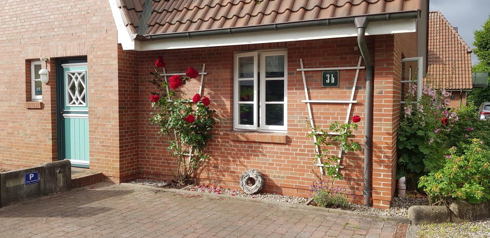 Red brick house with blue door, roses, and windows. House number 3b on the wall.