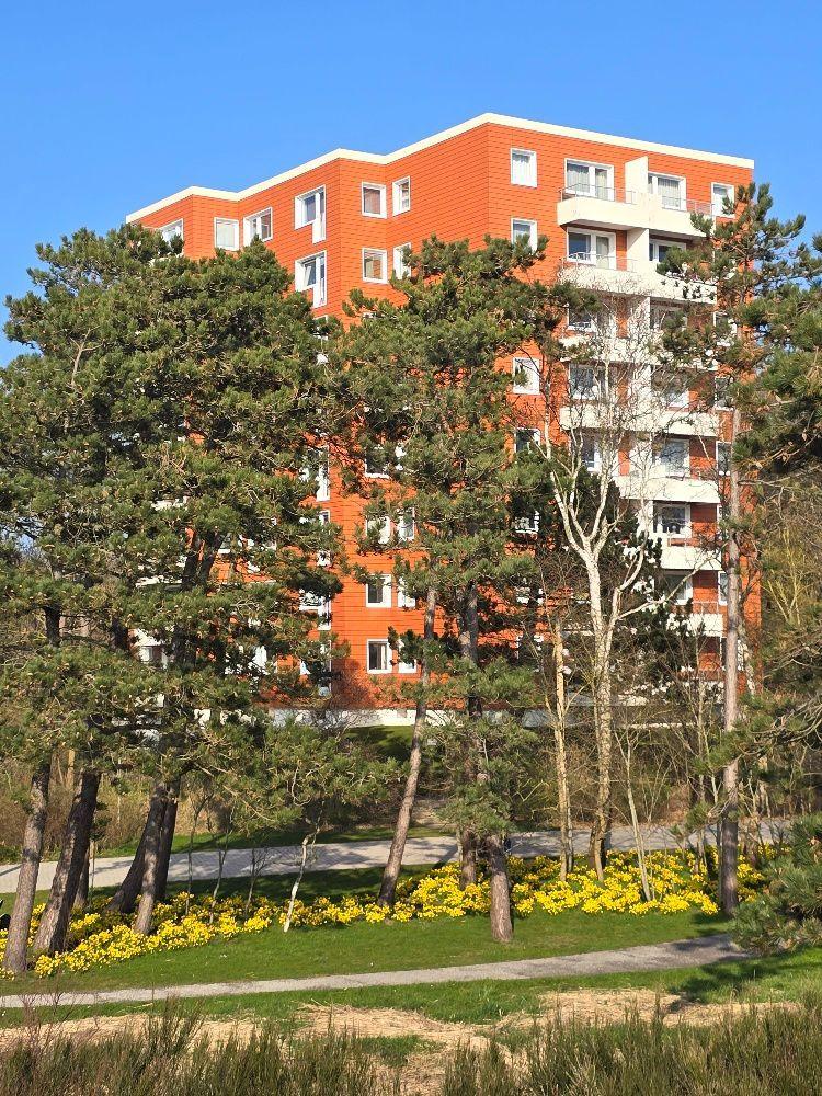 Modern apartment building with balconies, surrounded by trees and yellow flowers.