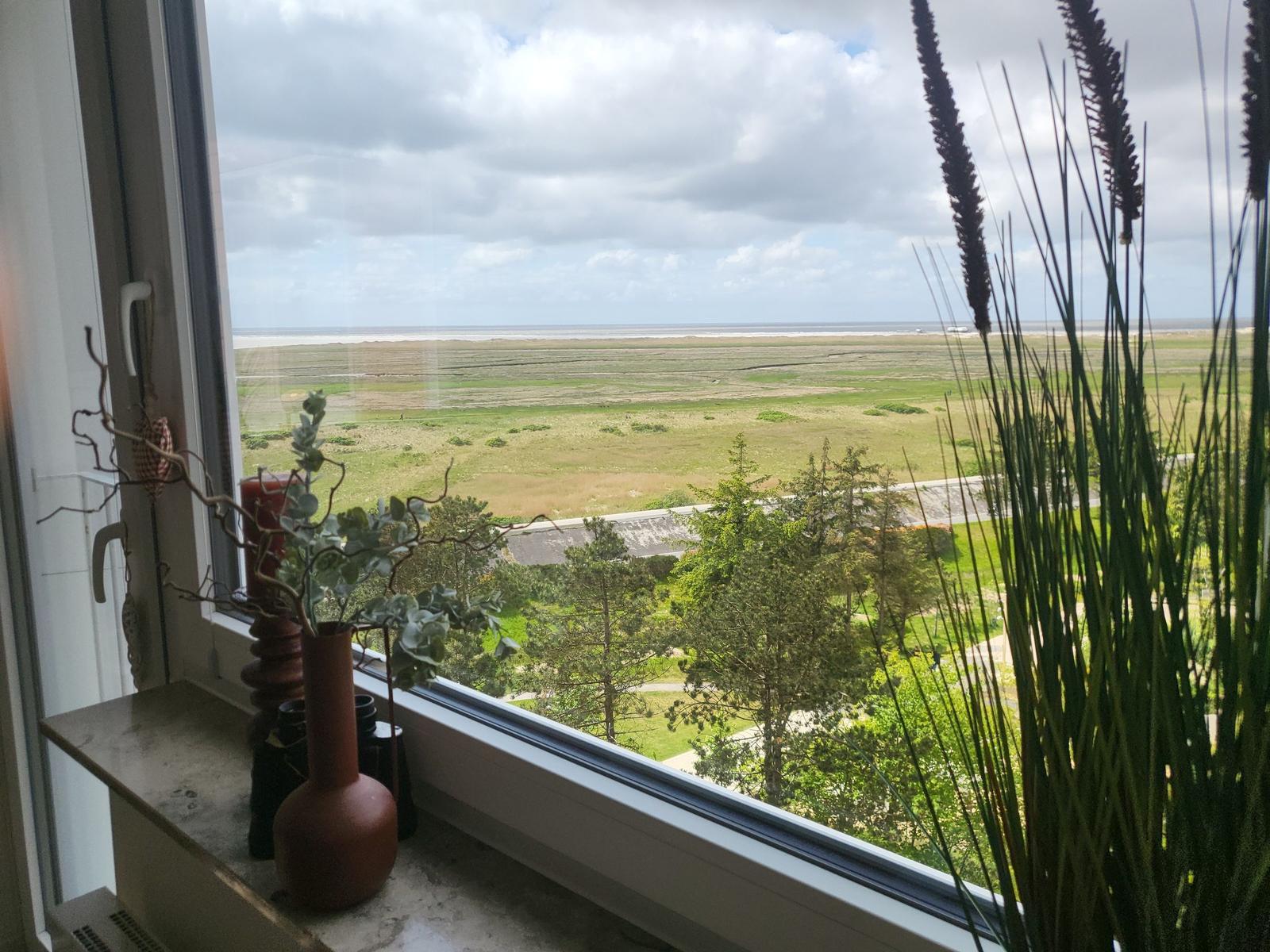 View from the window onto a green landscape and the sea.