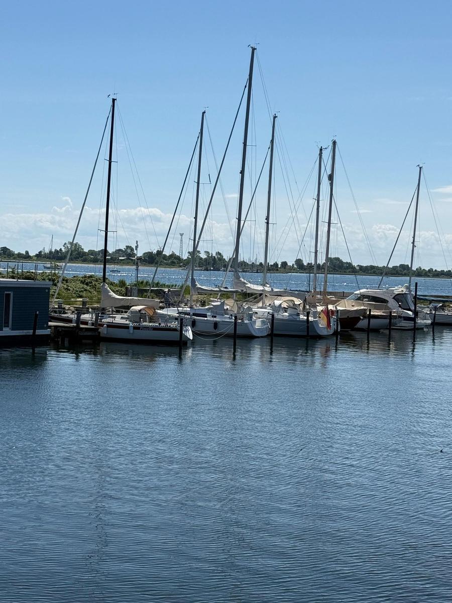 Sailboats are moored at a dock in the water. Behind them is a wooded shoreline.