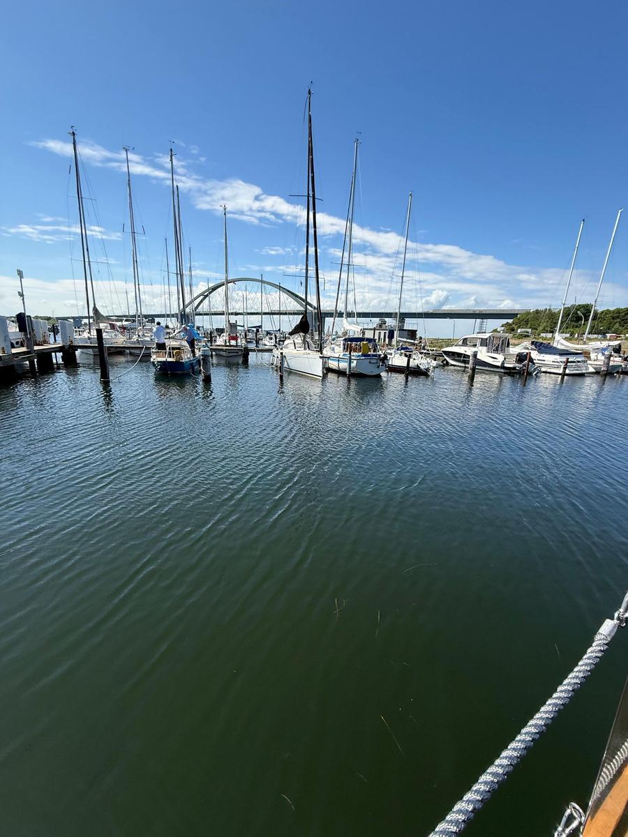 Marina with boats and bridge under blue sky