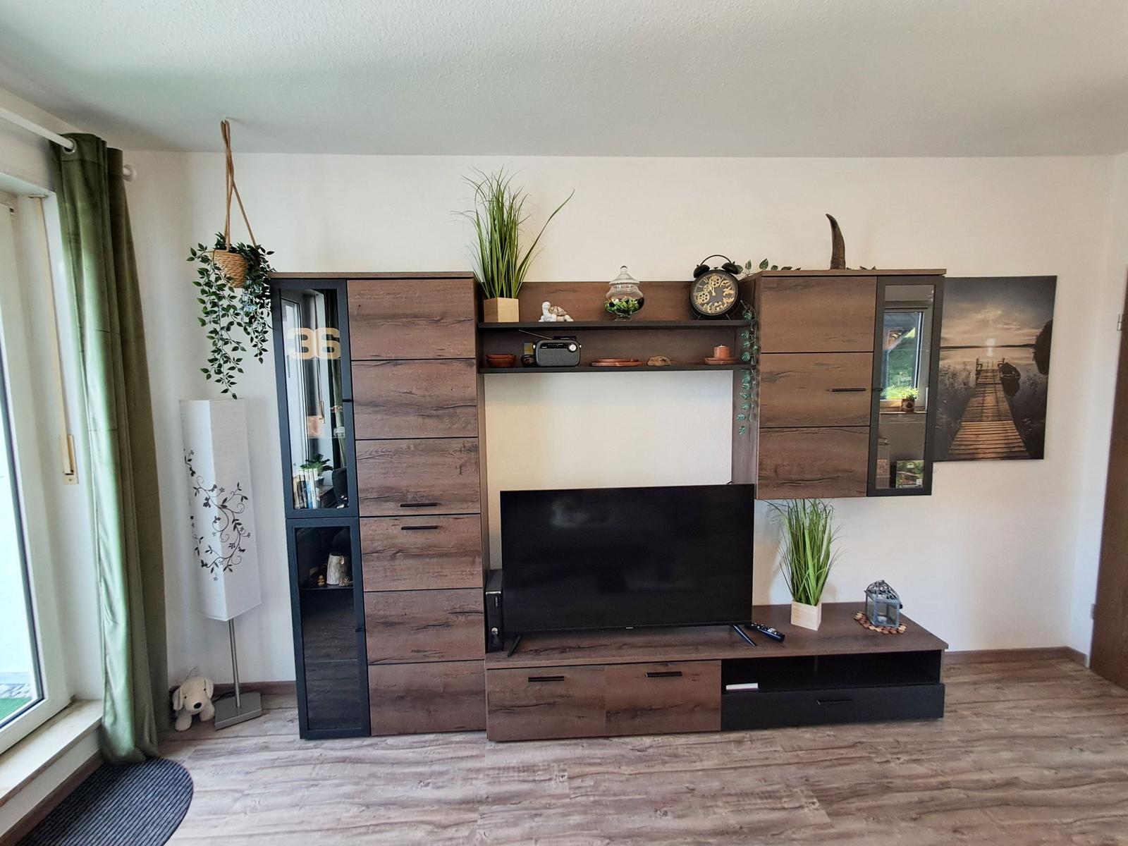 Wohnzimmer mit TV-Möbel, Pflanzen und Wandbild.