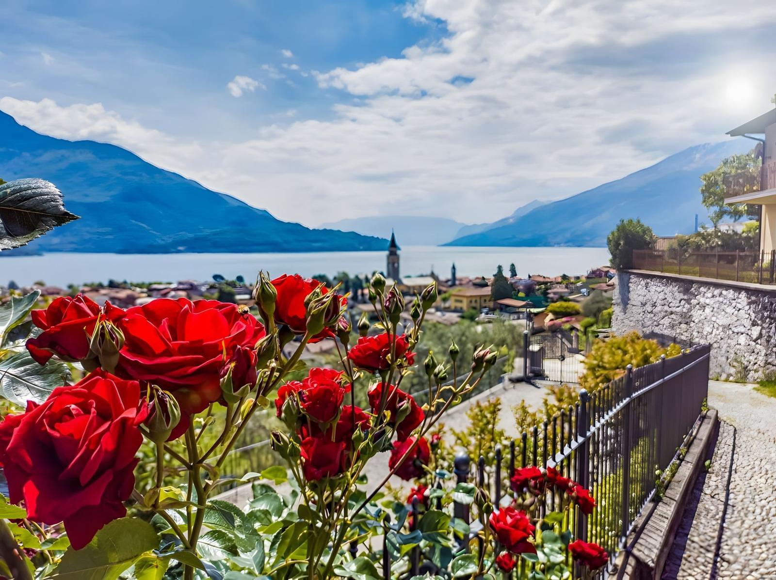 Rote Rosen blühen vor einem Blick auf See und Berge.