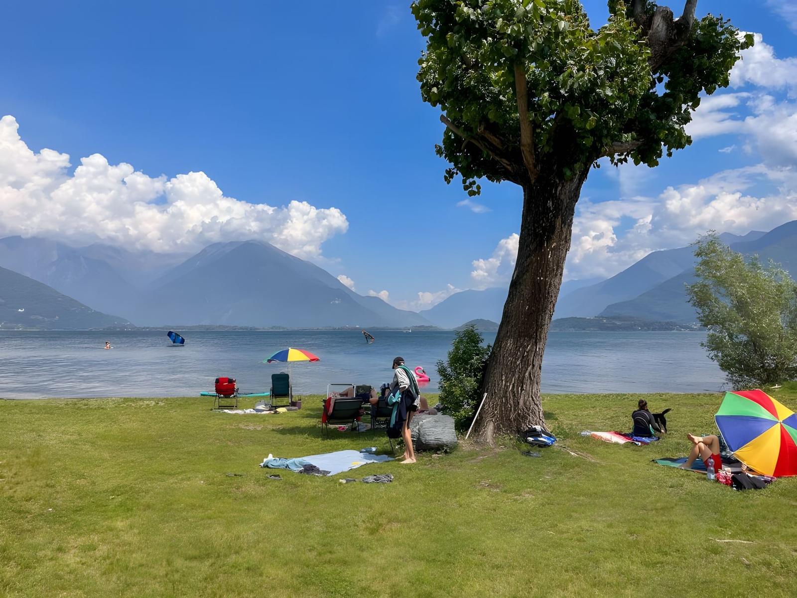 Grüner Strand mit Bäumen, Sonnenschirmen und Menschen am See.