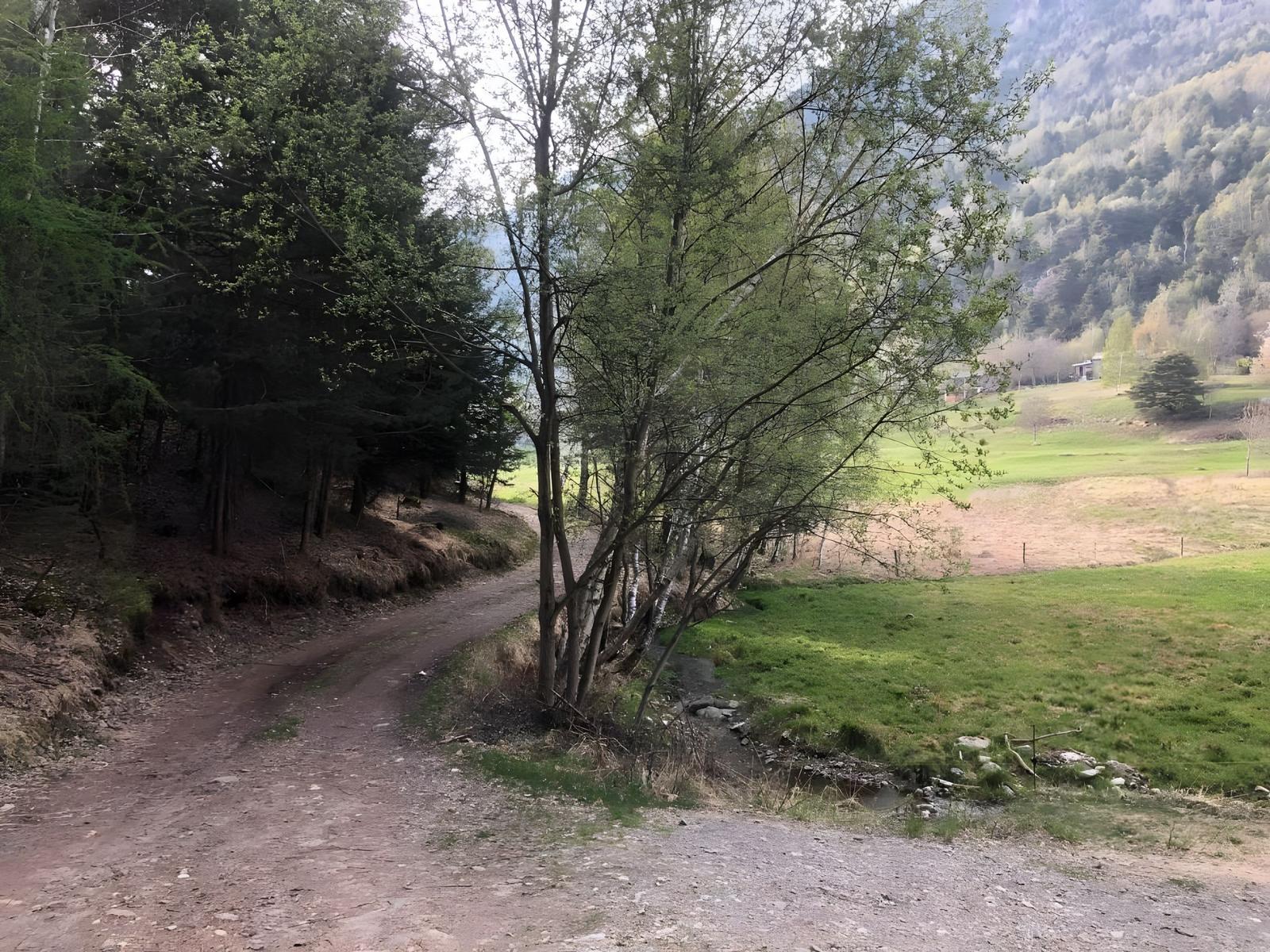 Unser Weg führt durch Wald und Grasland zu unserem Ferienhaus.