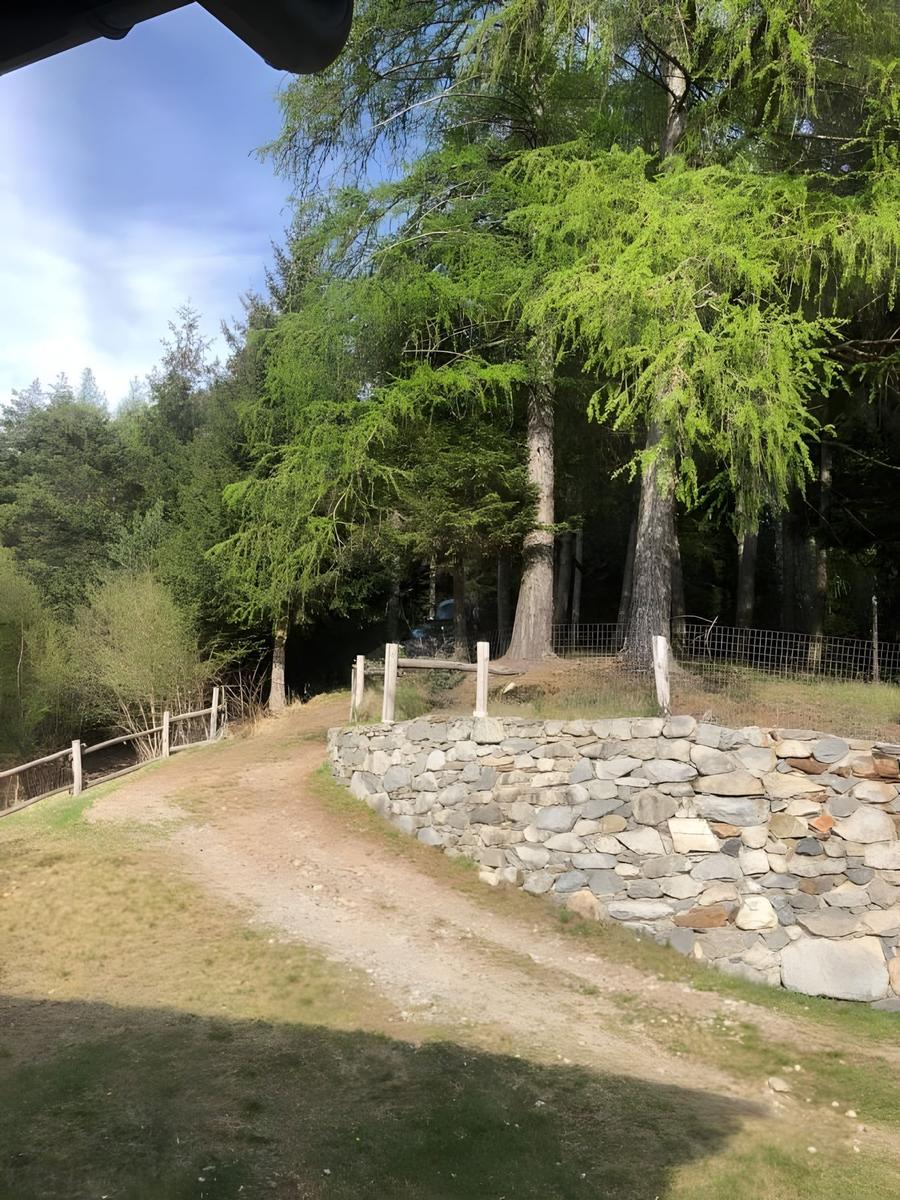 Ein Waldweg mit Steinmauer und hohen Bäumen führt durch eine grüne Landschaft.