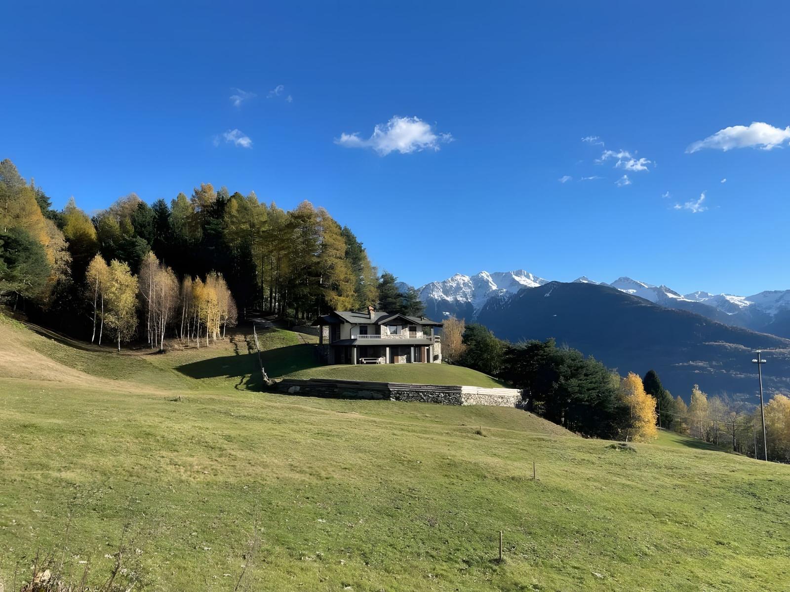 Haus auf grüner Wiese mit Blick auf schneebedeckte Berge und Bäume.