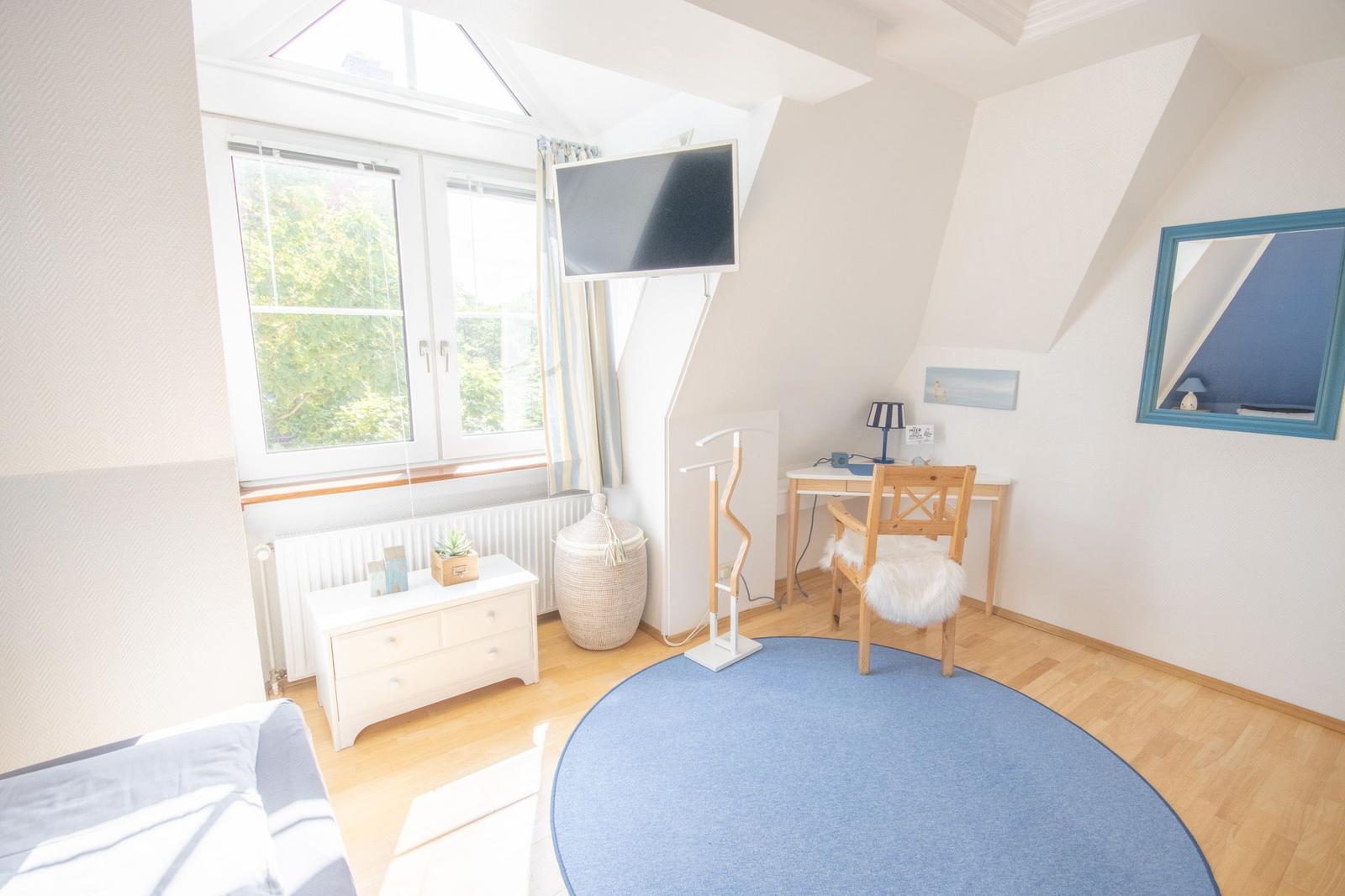Schlafzimmer mit Dachfenster, Schreibtisch, Fernseher und runden Teppich.
