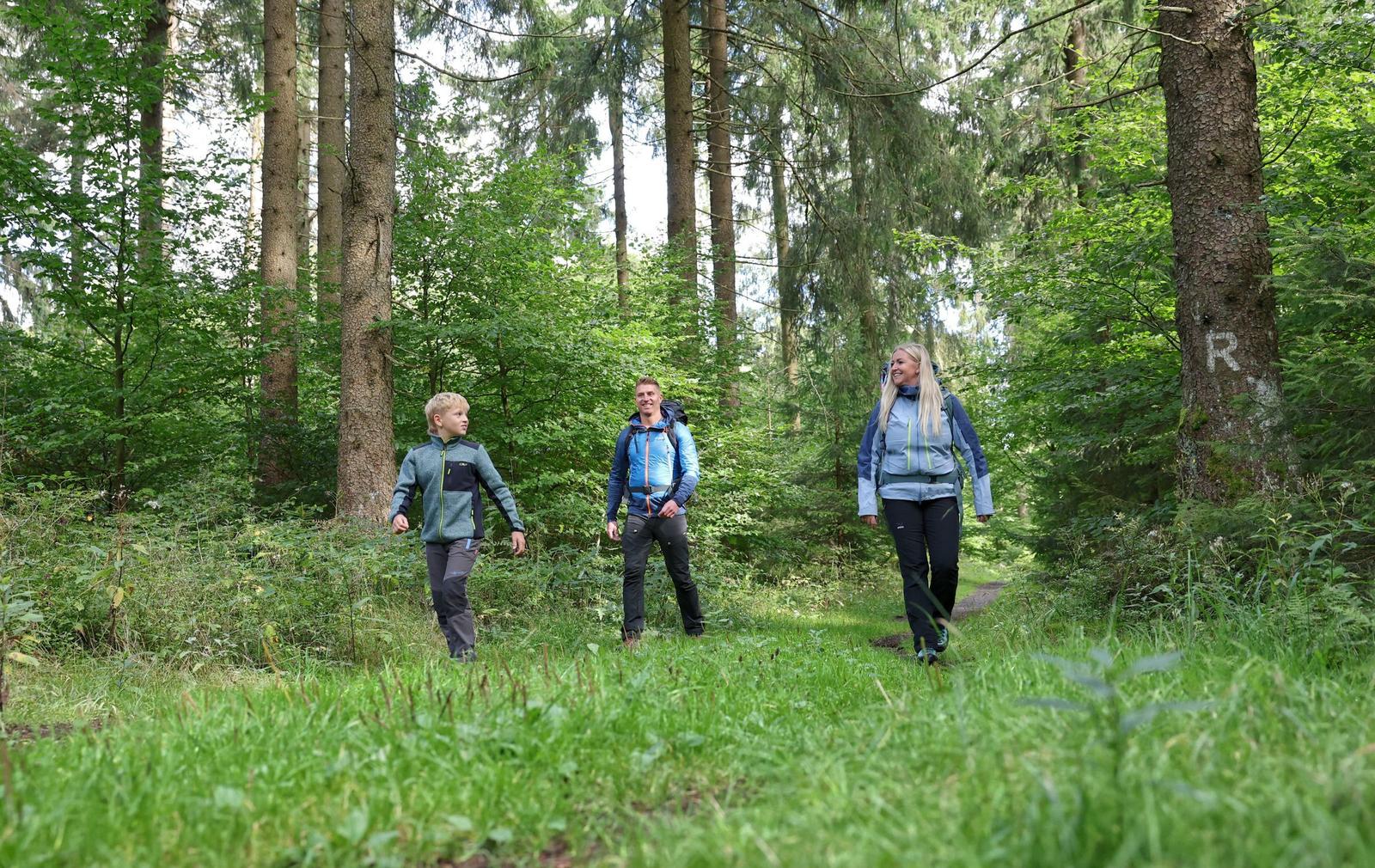 Der legendäre Rennsteig befindet sich in unmittelbarer Umgebung vom Naturcamp Lenkgrund
