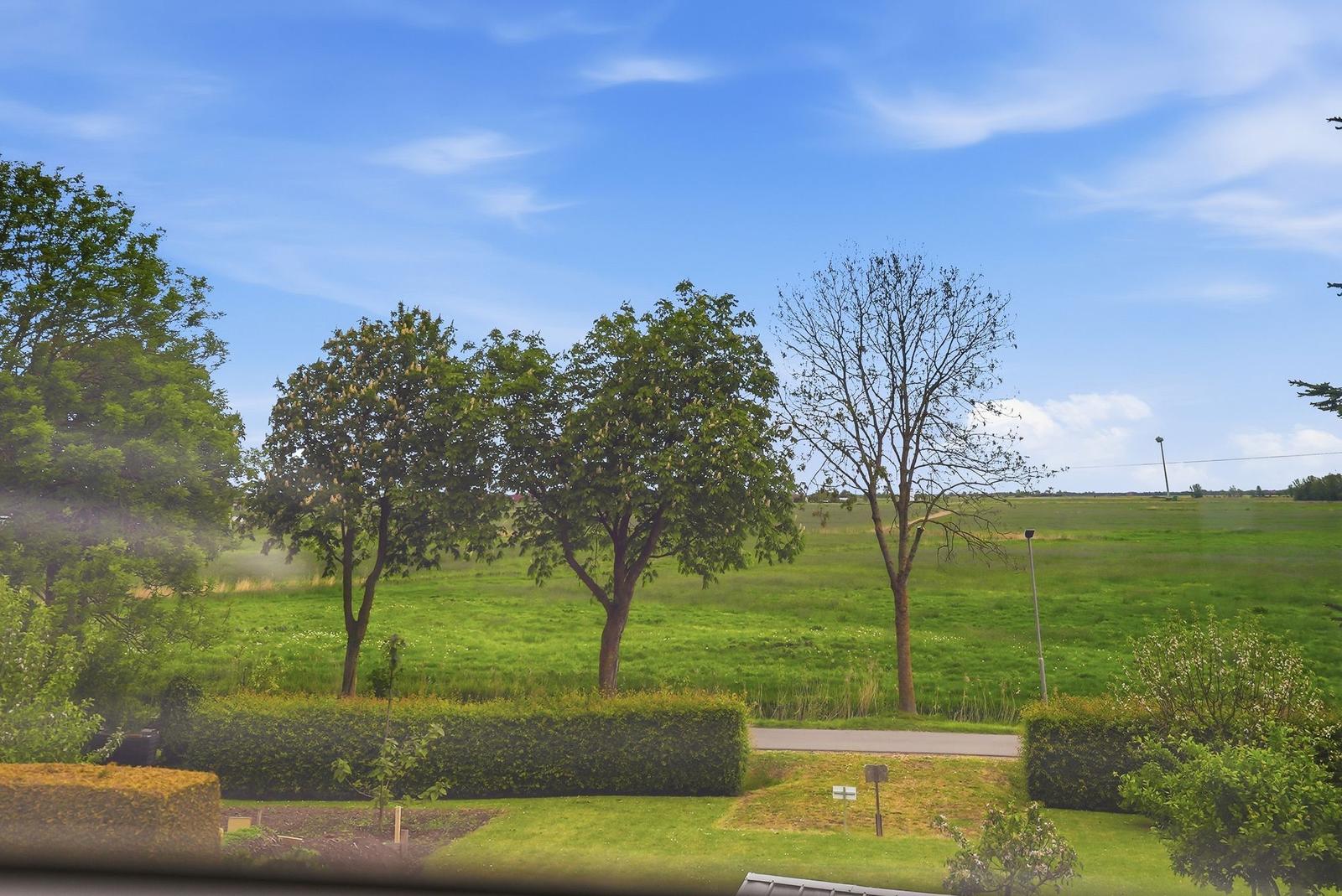 Grünes Feld mit Bäumen und Hecken unter blauem Himmel.
