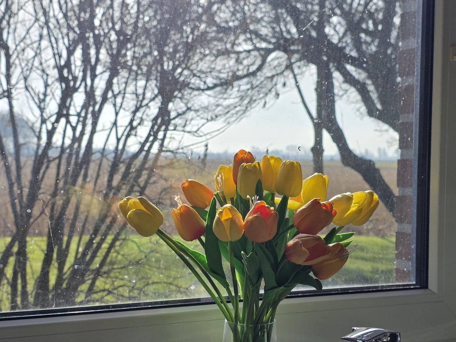 Tulpen in einem Glas stehen vor einem Fenster mit Blick auf Bäume und Feld.