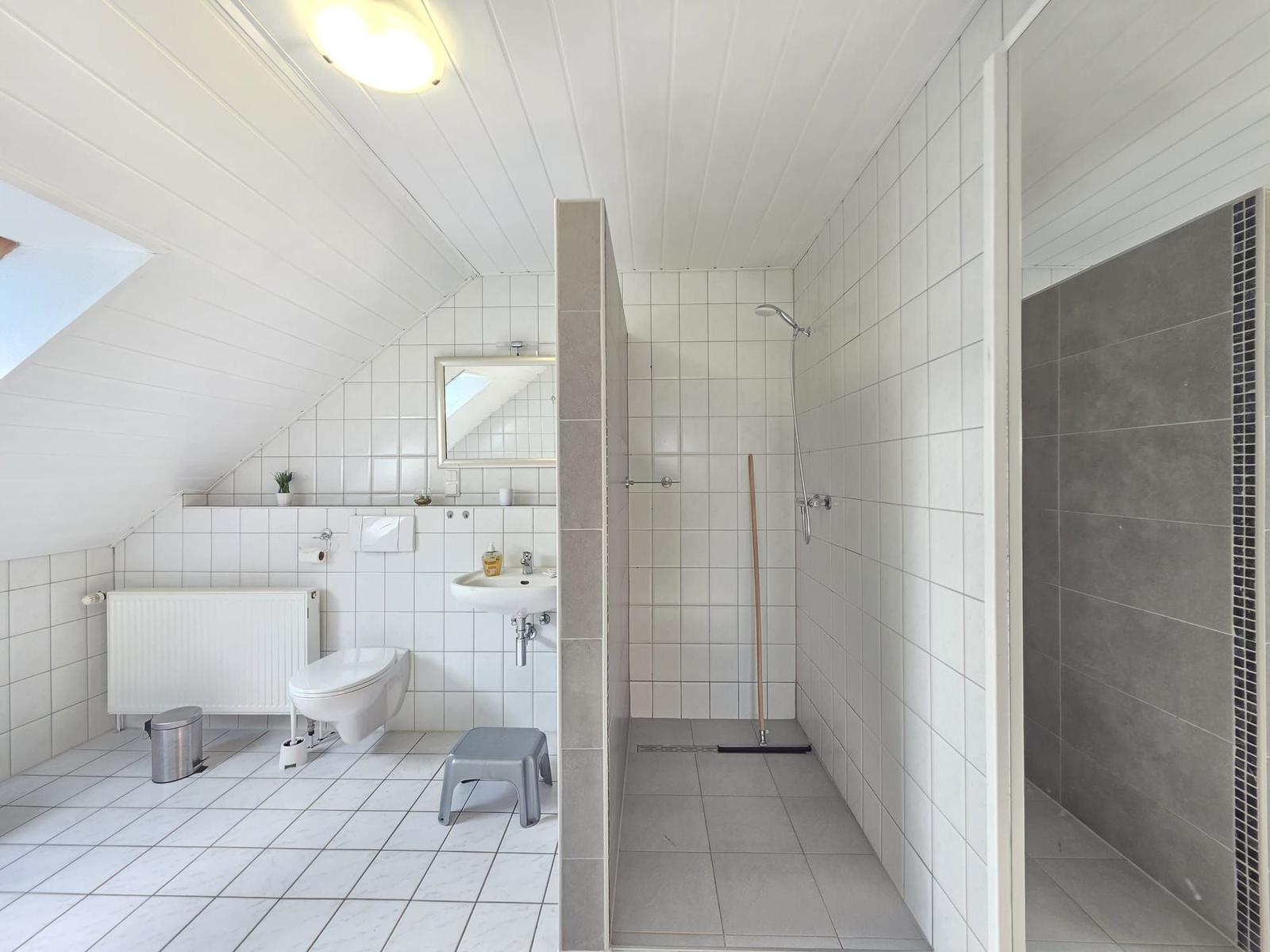 Badezimmer mit Dusche, WC und Waschbecken unter Dachschrägen.