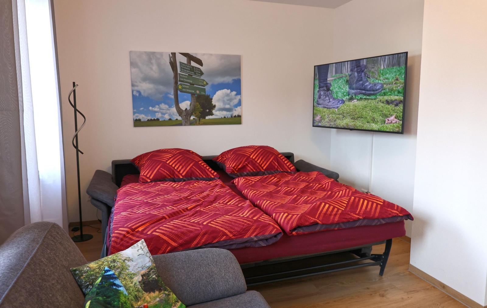 Couch bietet sich auch als Schlafsofa an