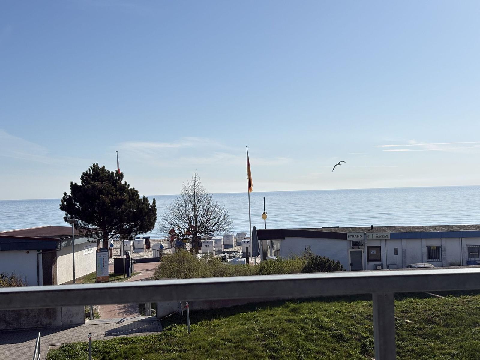 Strand mit Badehaus, Flaggen und See. Ein Vogel fliegt über das Wasser.