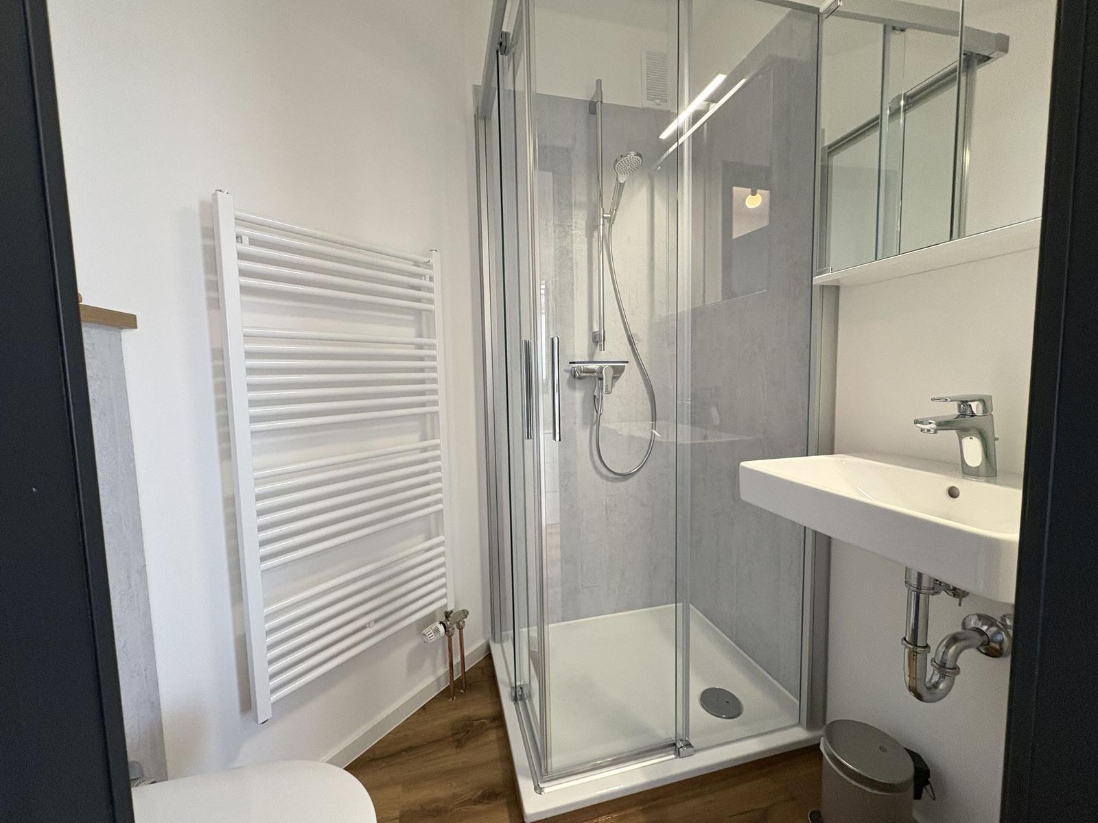 Badezimmer mit Dusche, Waschbecken und Heizung.