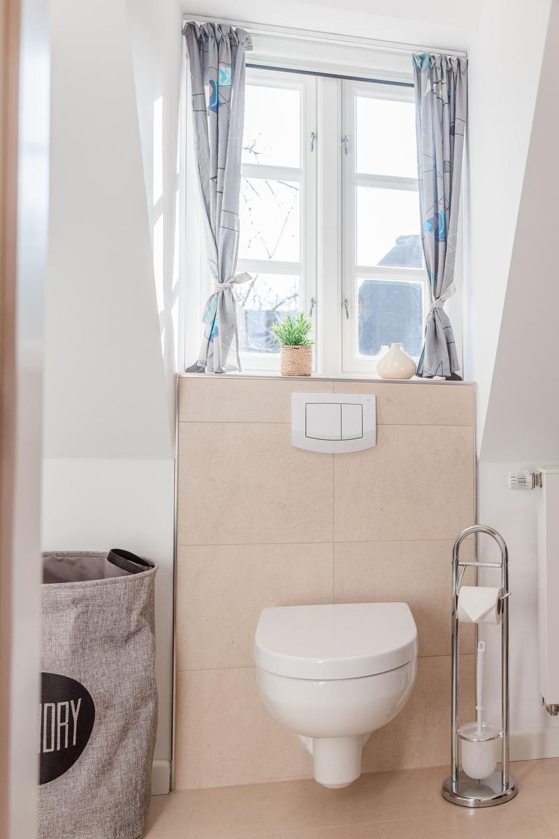 WC mit Fenster, Pflanze und Toilettenpapierhalter