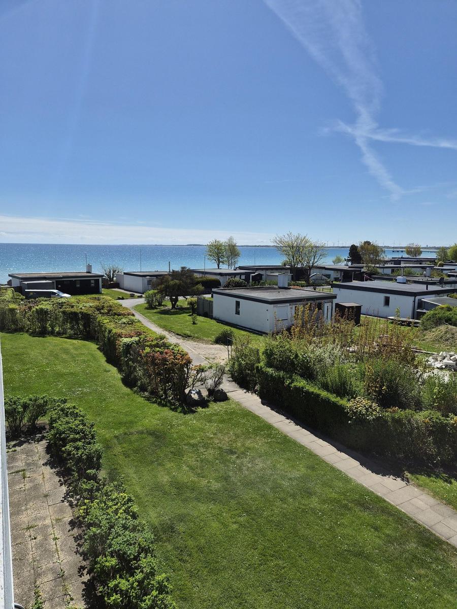 Weitläufiger Garten mit Weg, umgeben von Grünflächen und Häusern am Wasser.