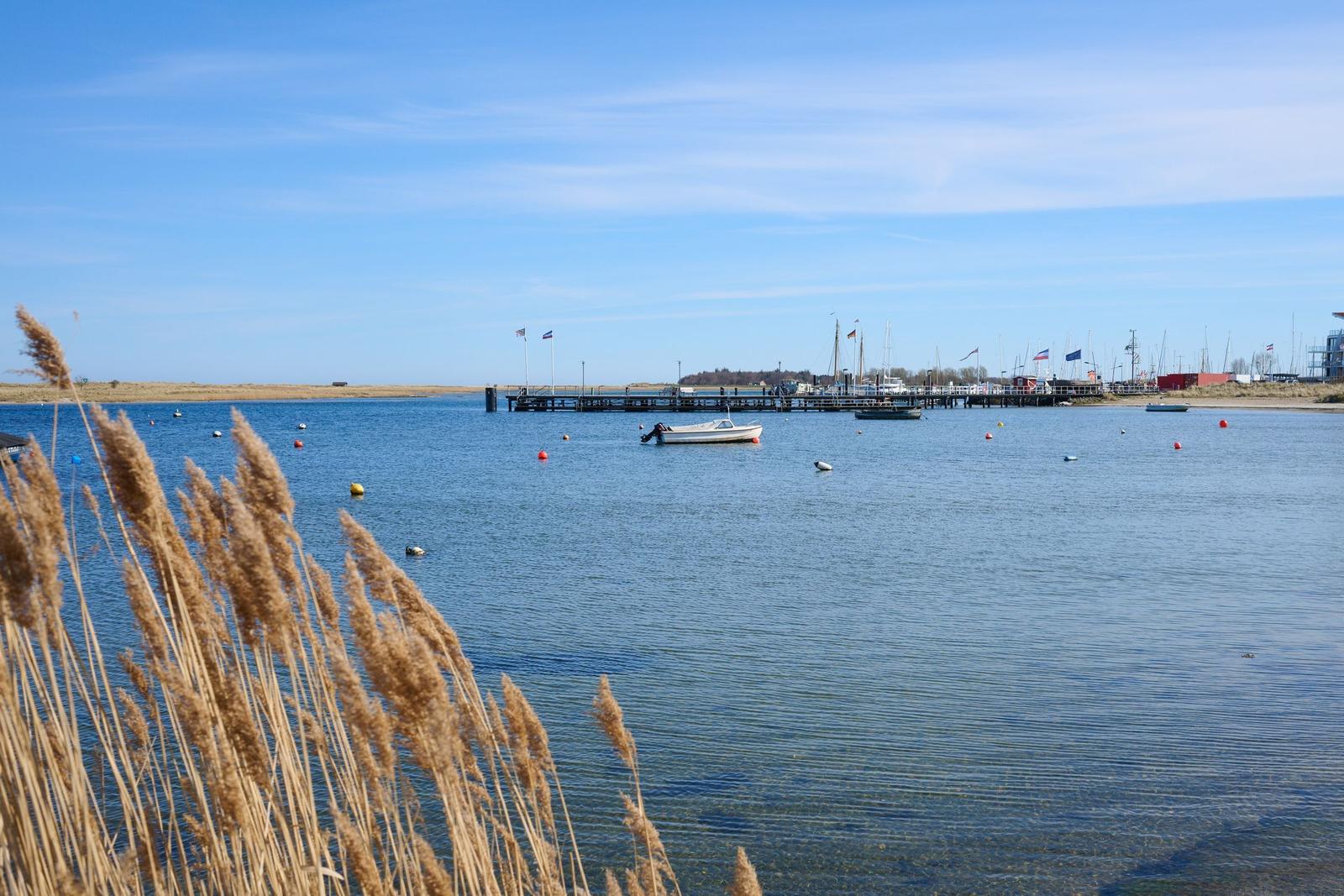Hafen mit Booten und Flaggen unter blauem Himmel. Schilf im Vordergrund.