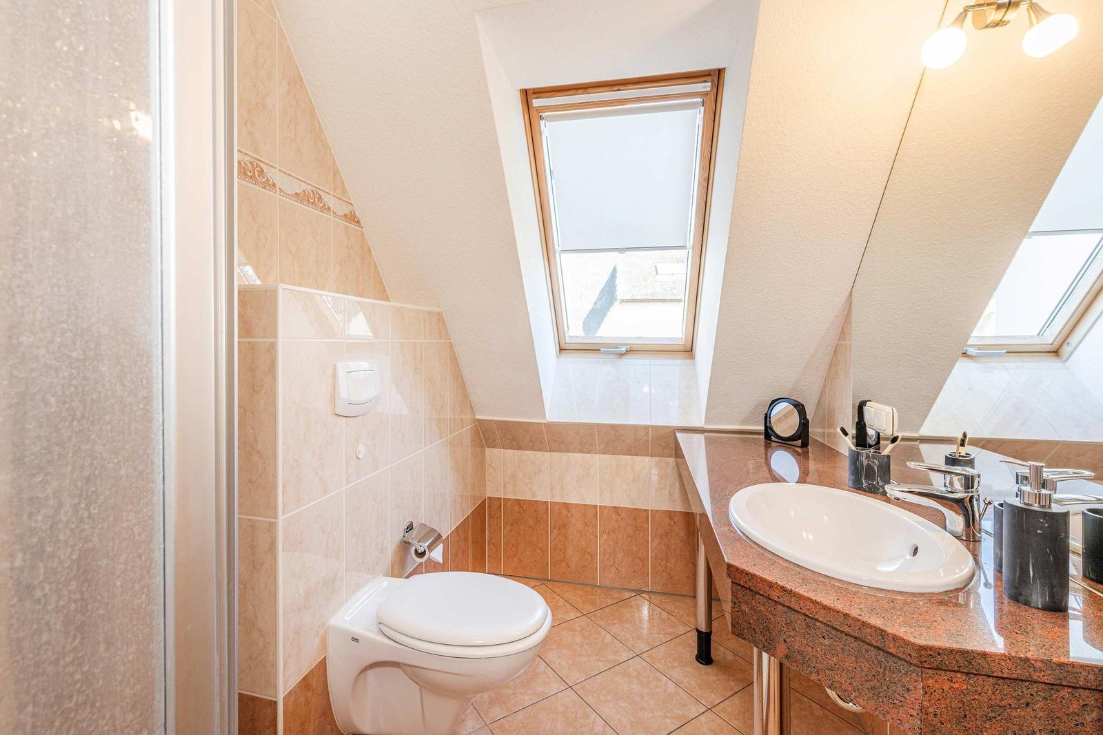 Badezimmer mit Toilette, Waschbecken und Dusche unter Dachfenster.