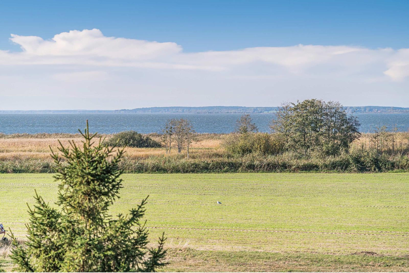 Weitläufiges Feld mit Blick auf einen See und Bäume im Hintergrund unter blauem Himmel.