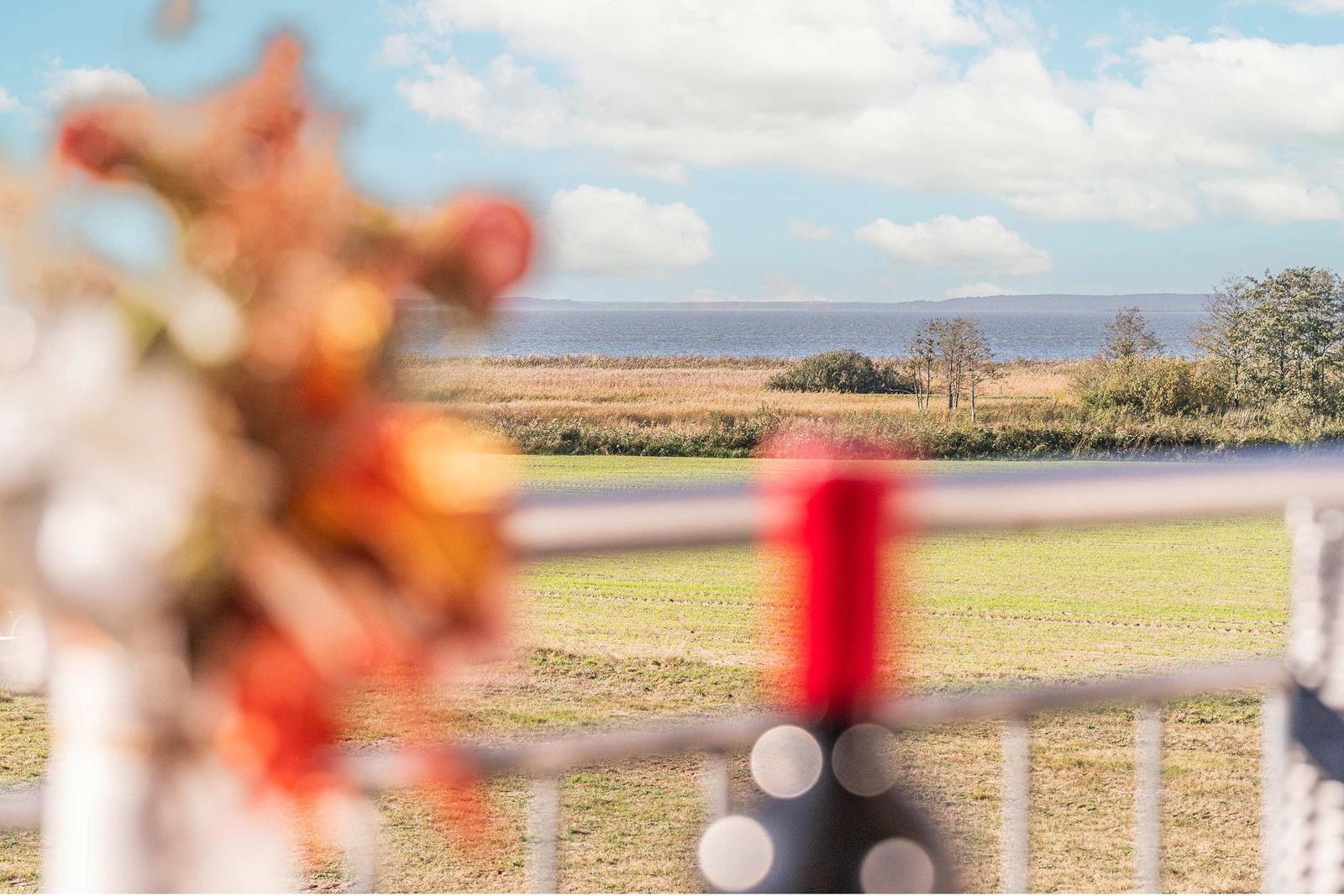 Blick auf Feld und See mit unscharfem Blumenstrauß im Vordergrund.