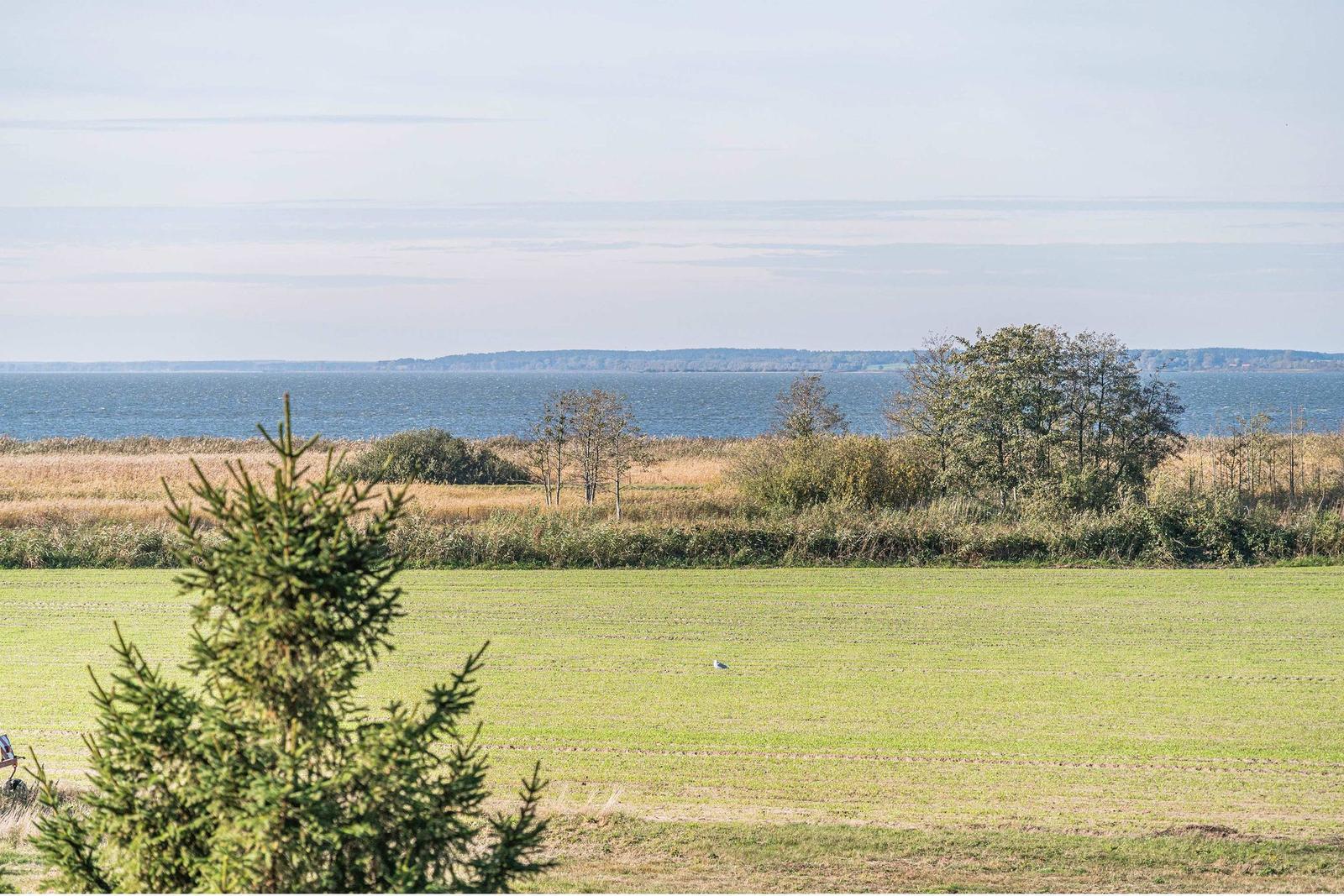 Weitläufiges Feld mit Blick auf einen See und einen Wald im Hintergrund.