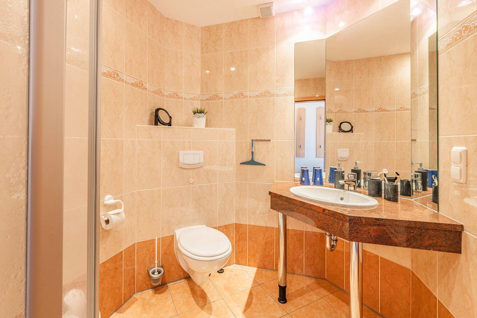Badezimmer mit Toilette, Waschbecken und Dusche. Fliesenwand mit dekorativer Bordüre.