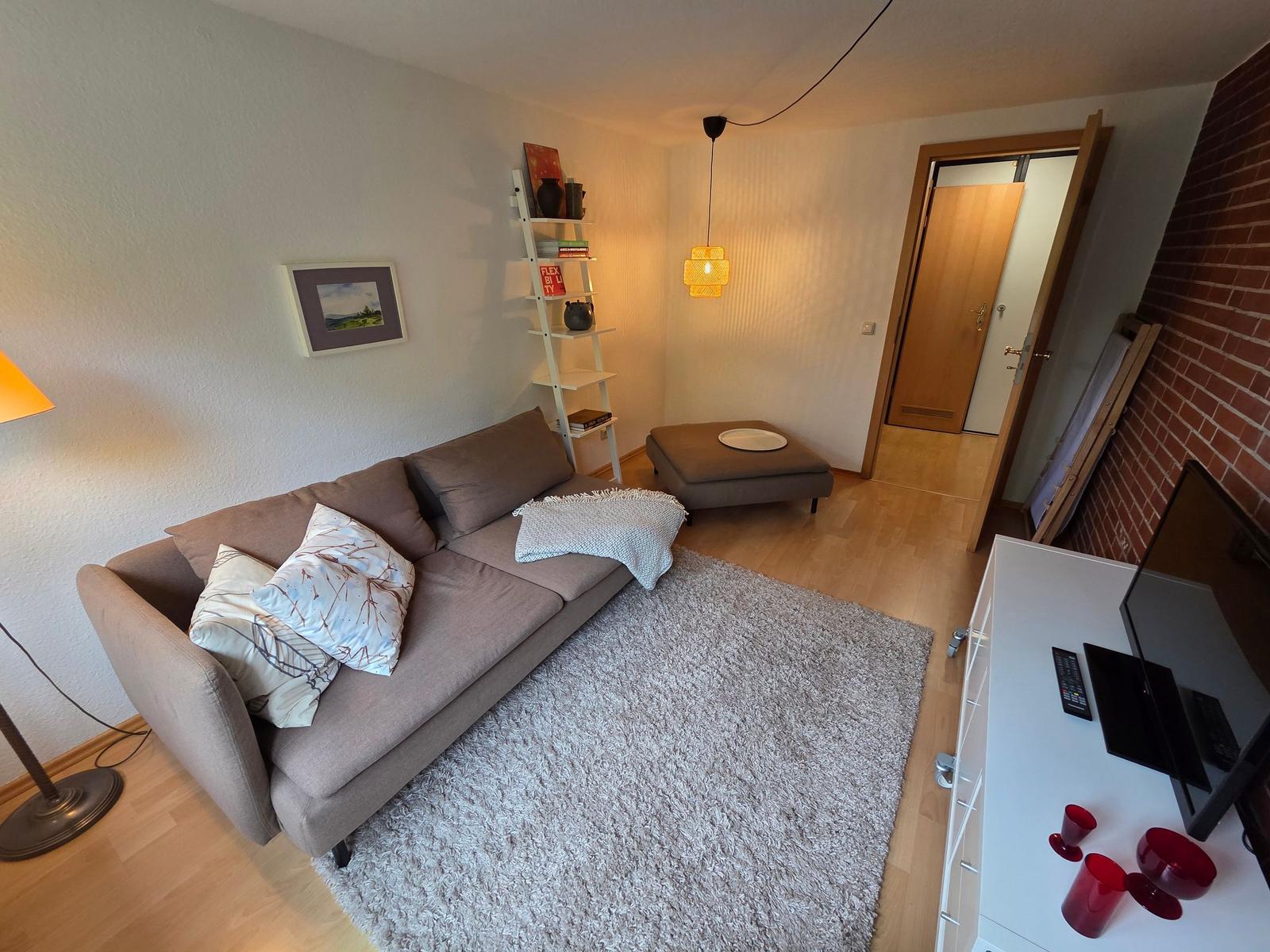 Wohnzimmer mit Sofa, Teppich und Fernseher auf Schrank