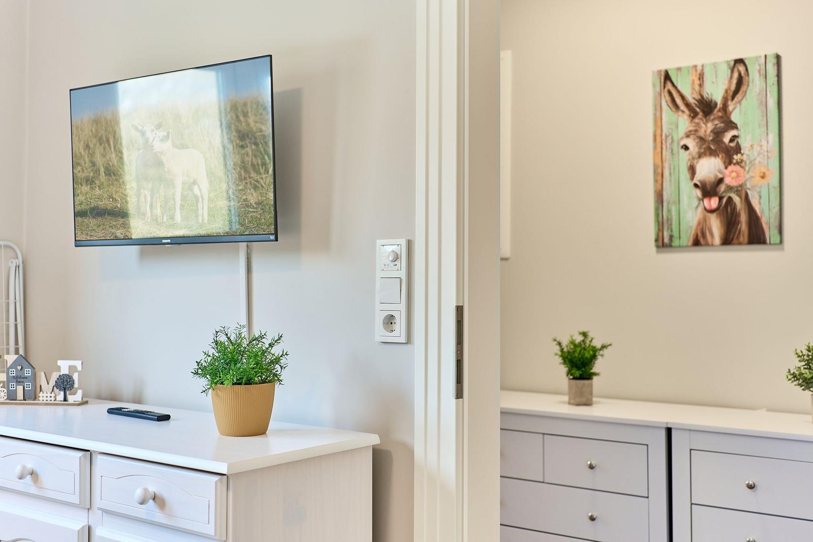 TV an der Wand, Pflanze auf Schrank, Bild mit Esel im Hintergrund.