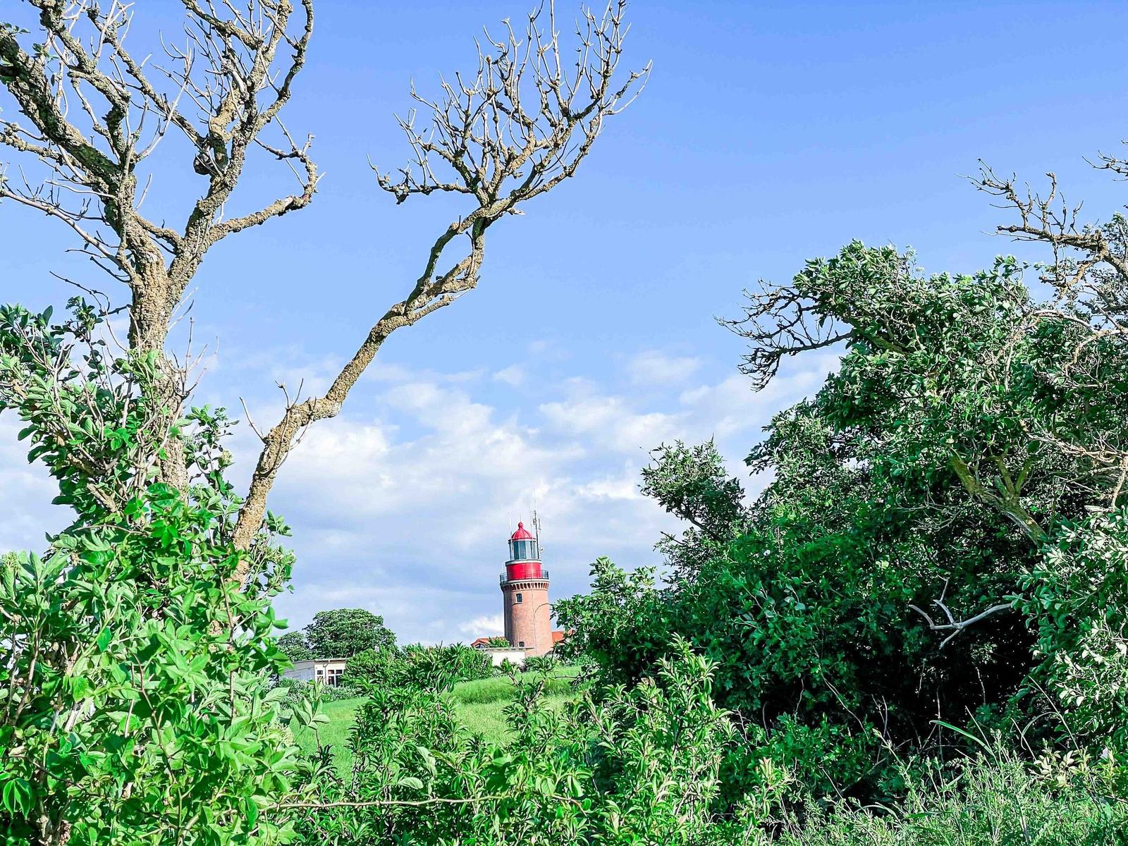 Roter Leuchtturm sichtbar durch grüne Bäume und Sträucher unter blauem Himmel.