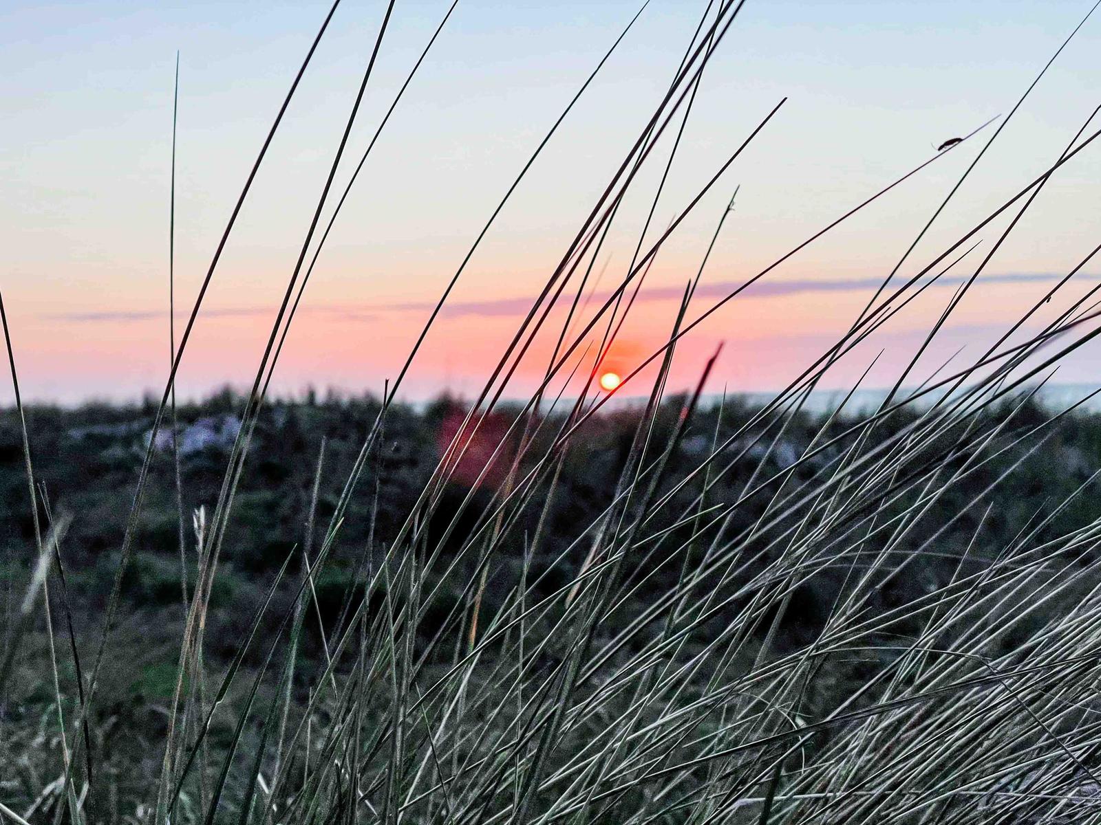 Sonnenuntergang hinter Grashalmen mit Blick auf Ferienhaus und Landschaft