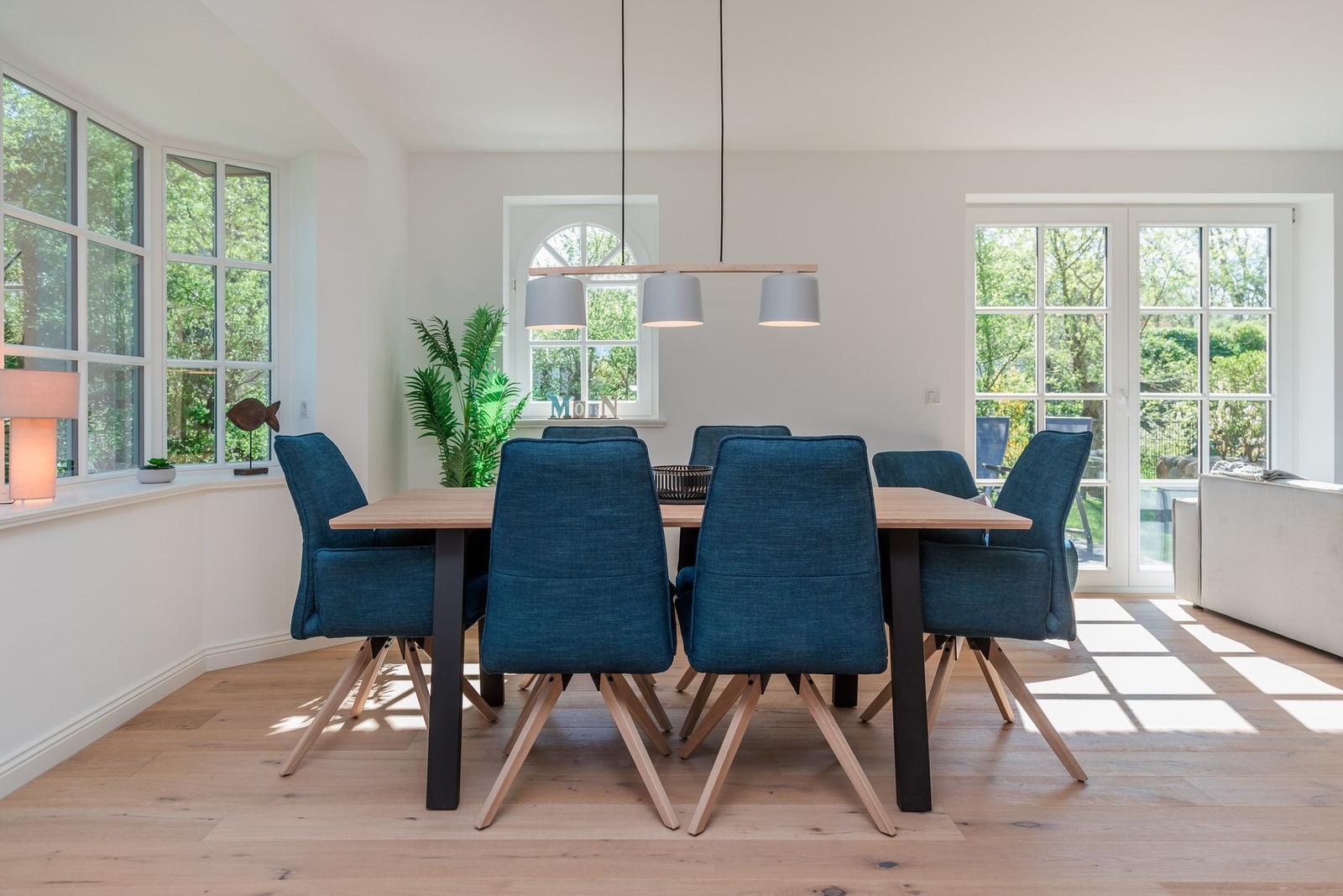 Dining room with wooden table, blue chairs, and large windows. Natural light and plants provide ample space.