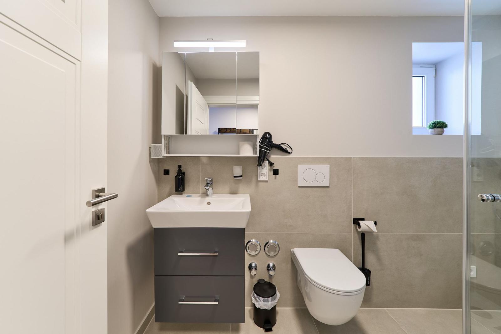 Badezimmer mit Waschbecken, Toilette und Dusche. Spiegel, Haartrockner und Pflanze sind sichtbar.
