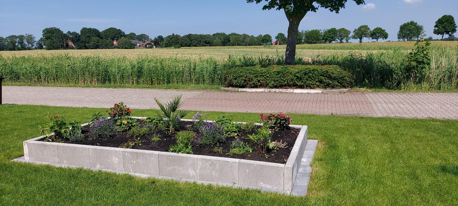 A flower bed with plants in the front yard. Background: fields and trees.