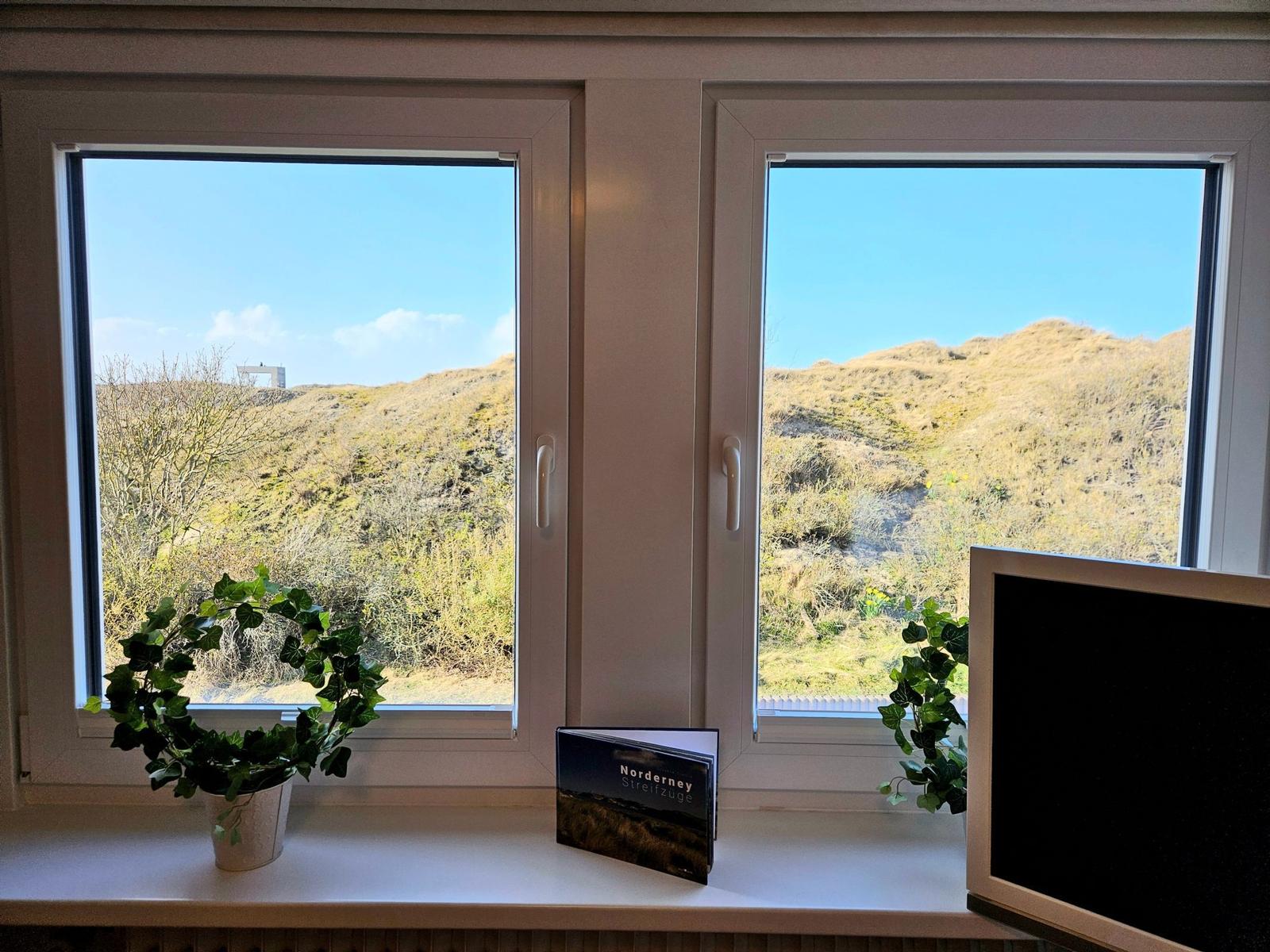 Durch die Fenster sieht man Hügel und einen Turm. Auf dem Fensterbrett steht ein Buch und Pflanzen.