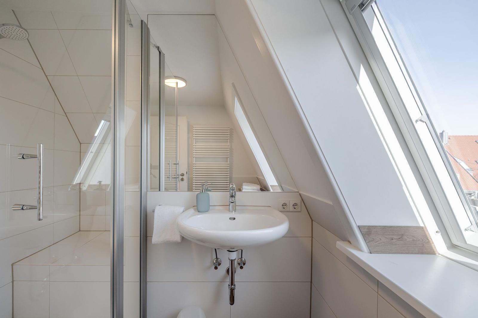 Badezimmer mit Dusche, Waschbecken und Dachfenster.