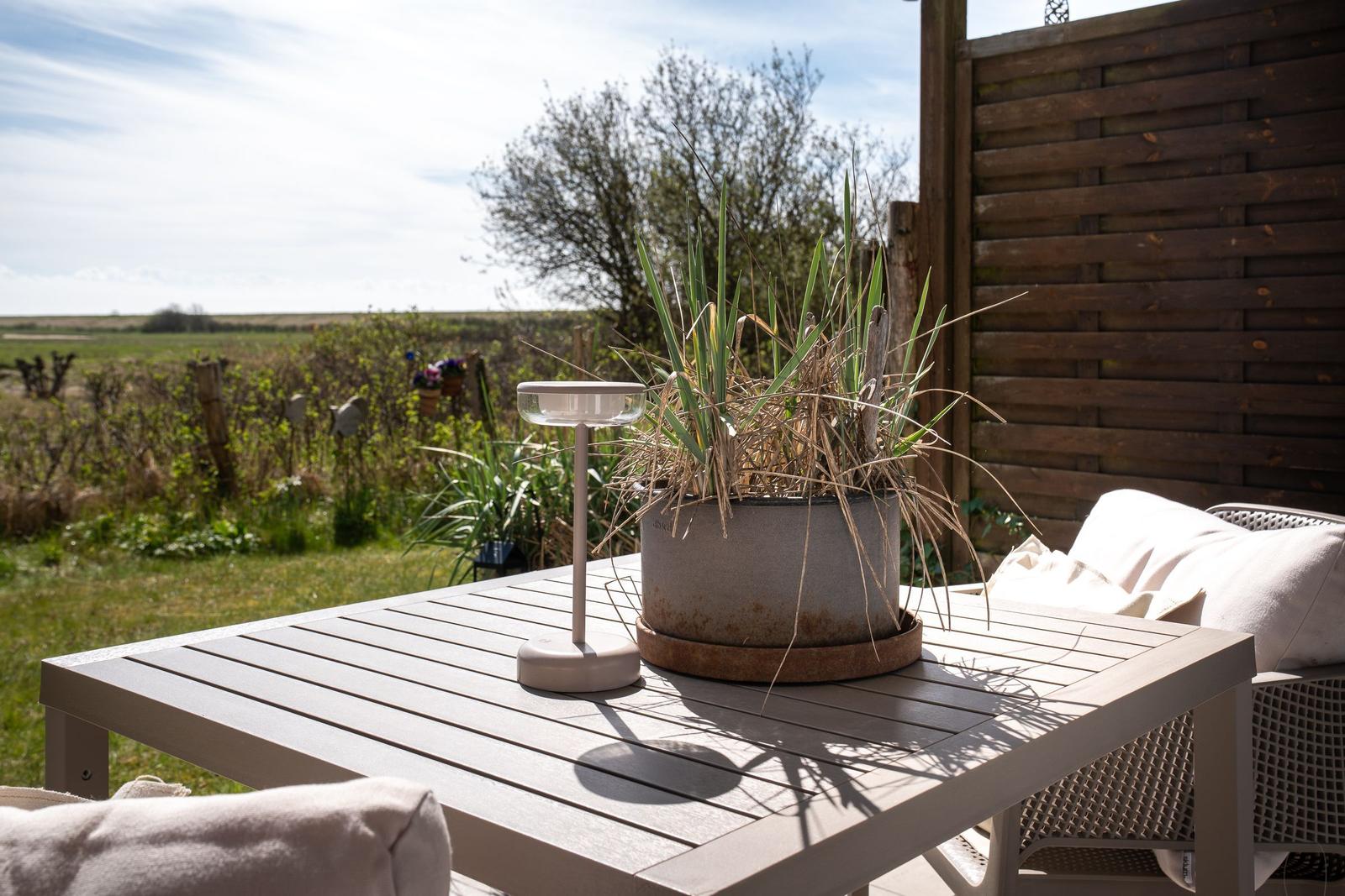 Terrasse mit Tisch, Pflanze und Sitzgelegenheiten im Freien.
