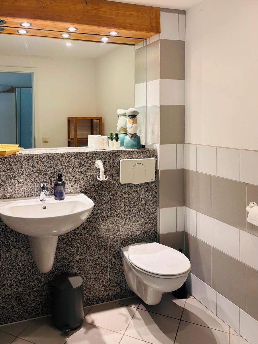 Badezimmer mit Waschbecken, Toilette und Spiegel. Wandverkleidung aus Stein und Fliesen.