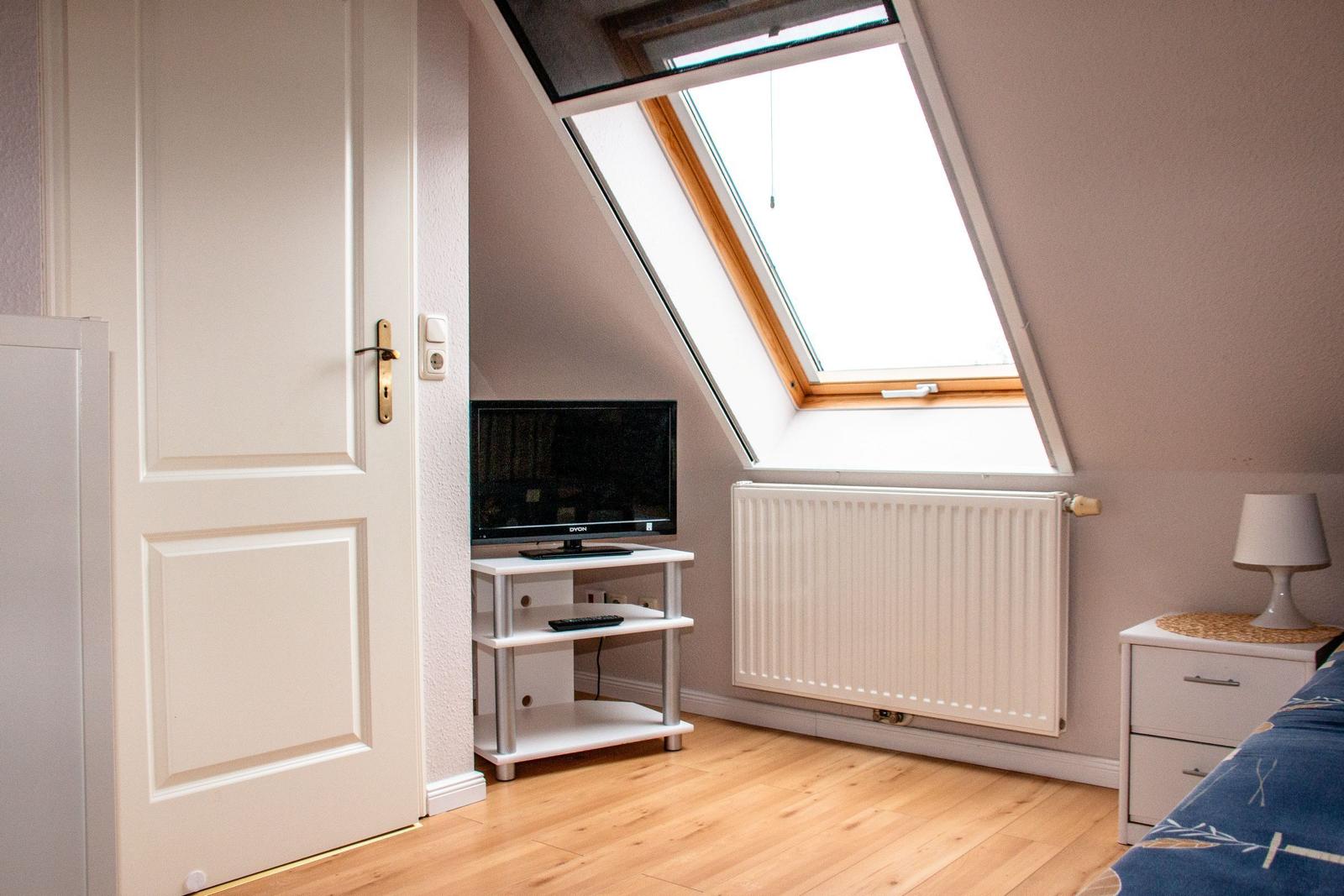 Schlafzimmer mit Dachfenster, Fernseher und Schrank. Holzfußboden und Heizkörper.