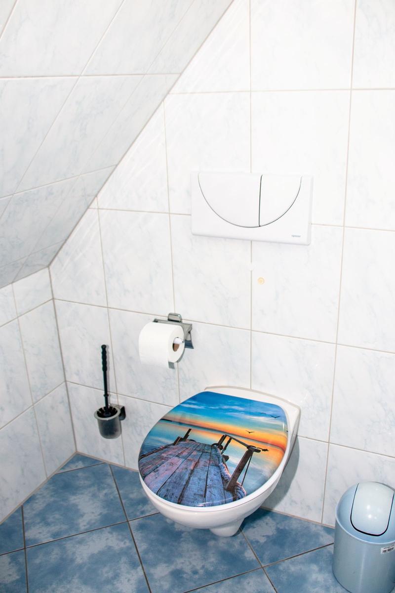 Toilette mit farbigem Sitz, Toilettenpapierhalter und WC-Bedienung an Wand
