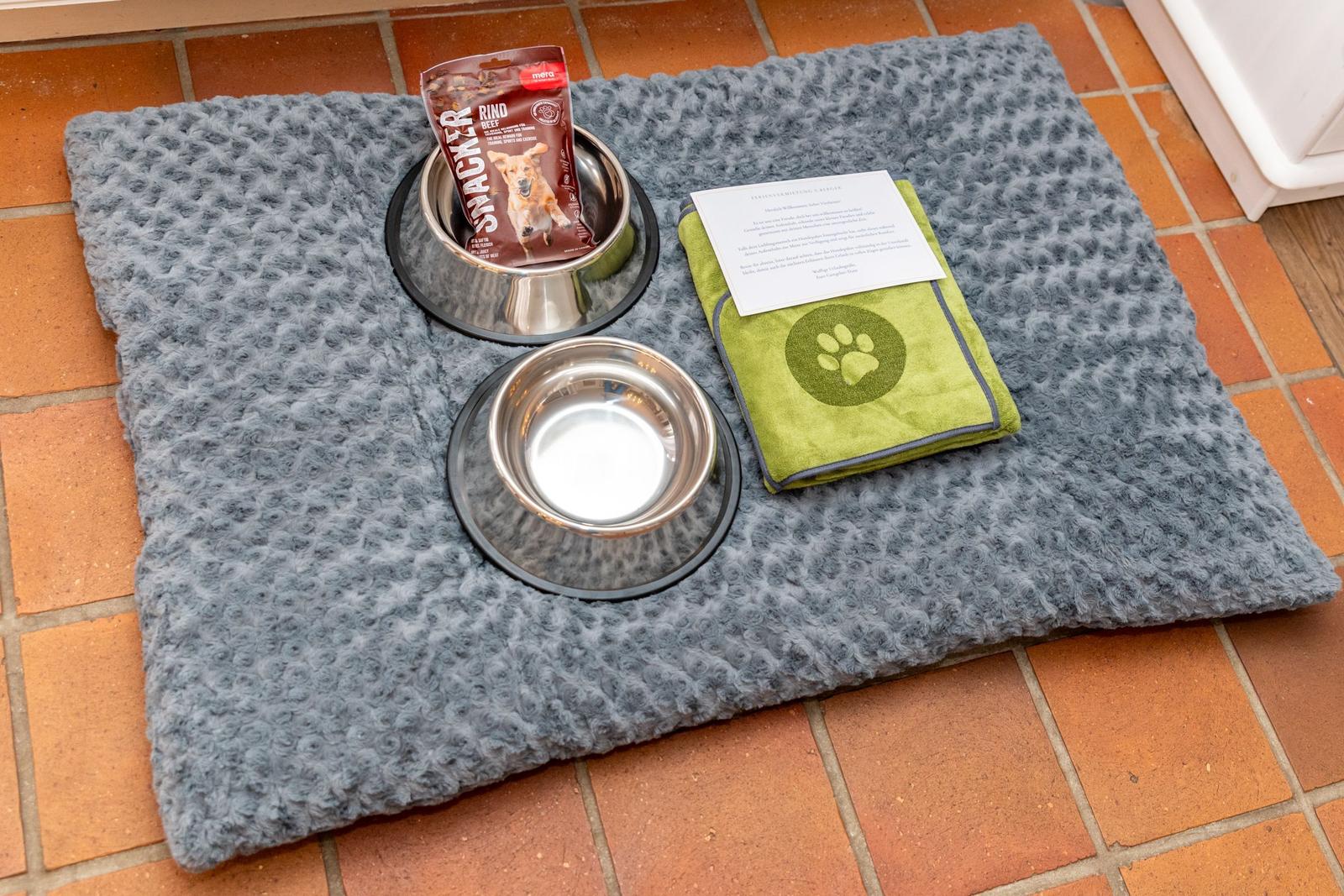Hundeplatz mit Futterteller, Snack und Handtuch auf Teppich