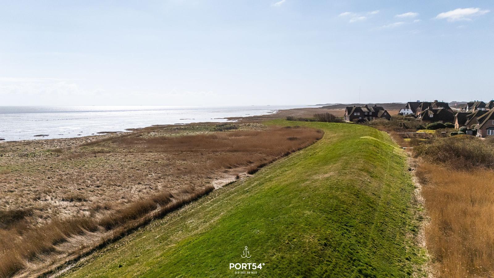 Grüner Hang mit Blick auf das Meer und Häuser am Horizont.