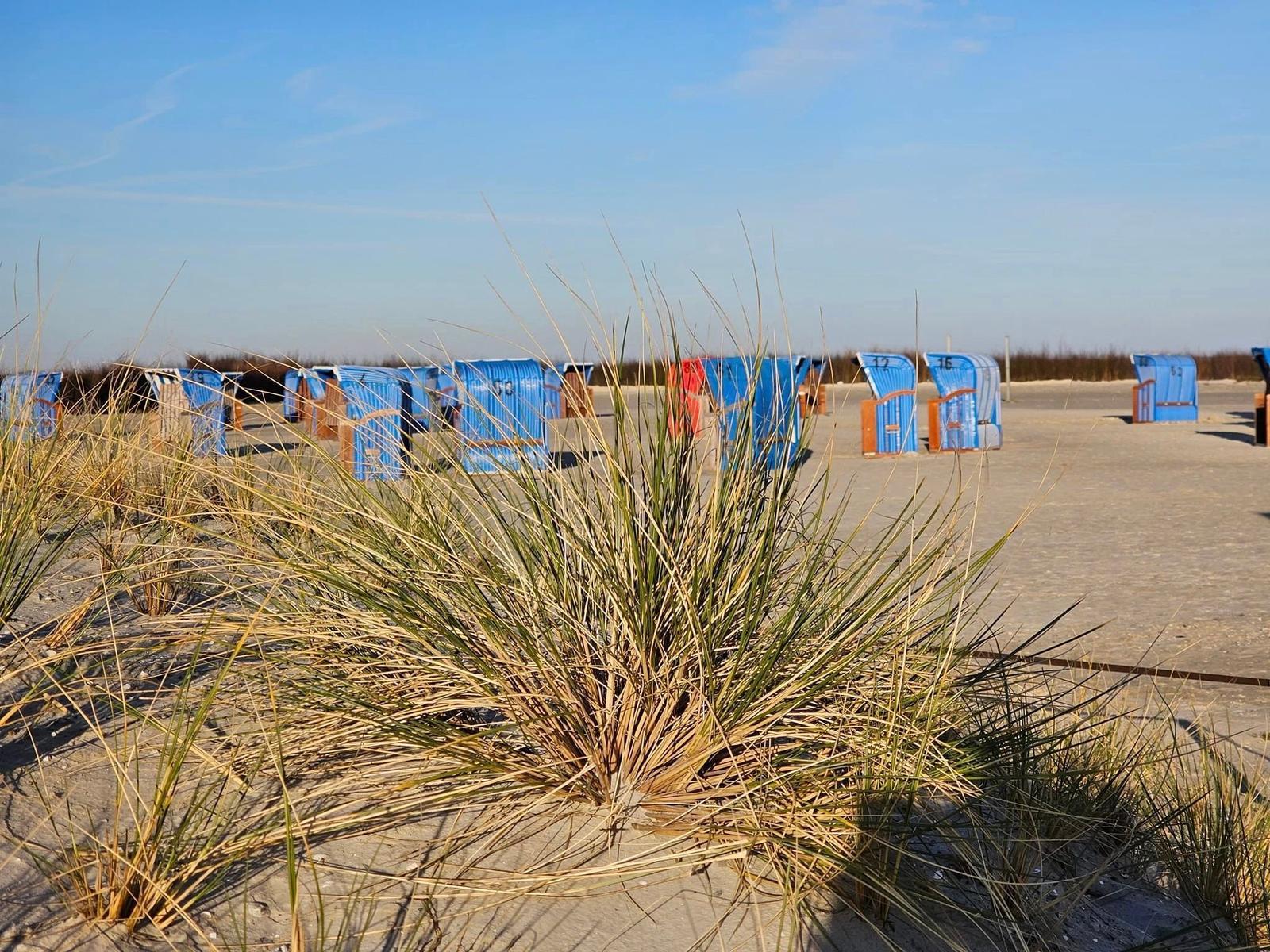 Strandkörbe stehen auf Sandstrand, umgeben von Dünenvegetation unter blauem Himmel.