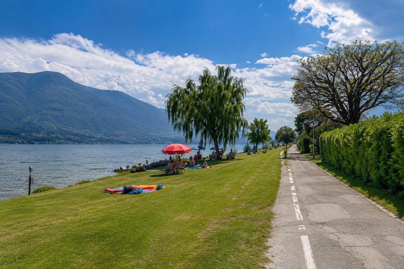 Green lakeside area with trees and path. People relax under umbrellas.