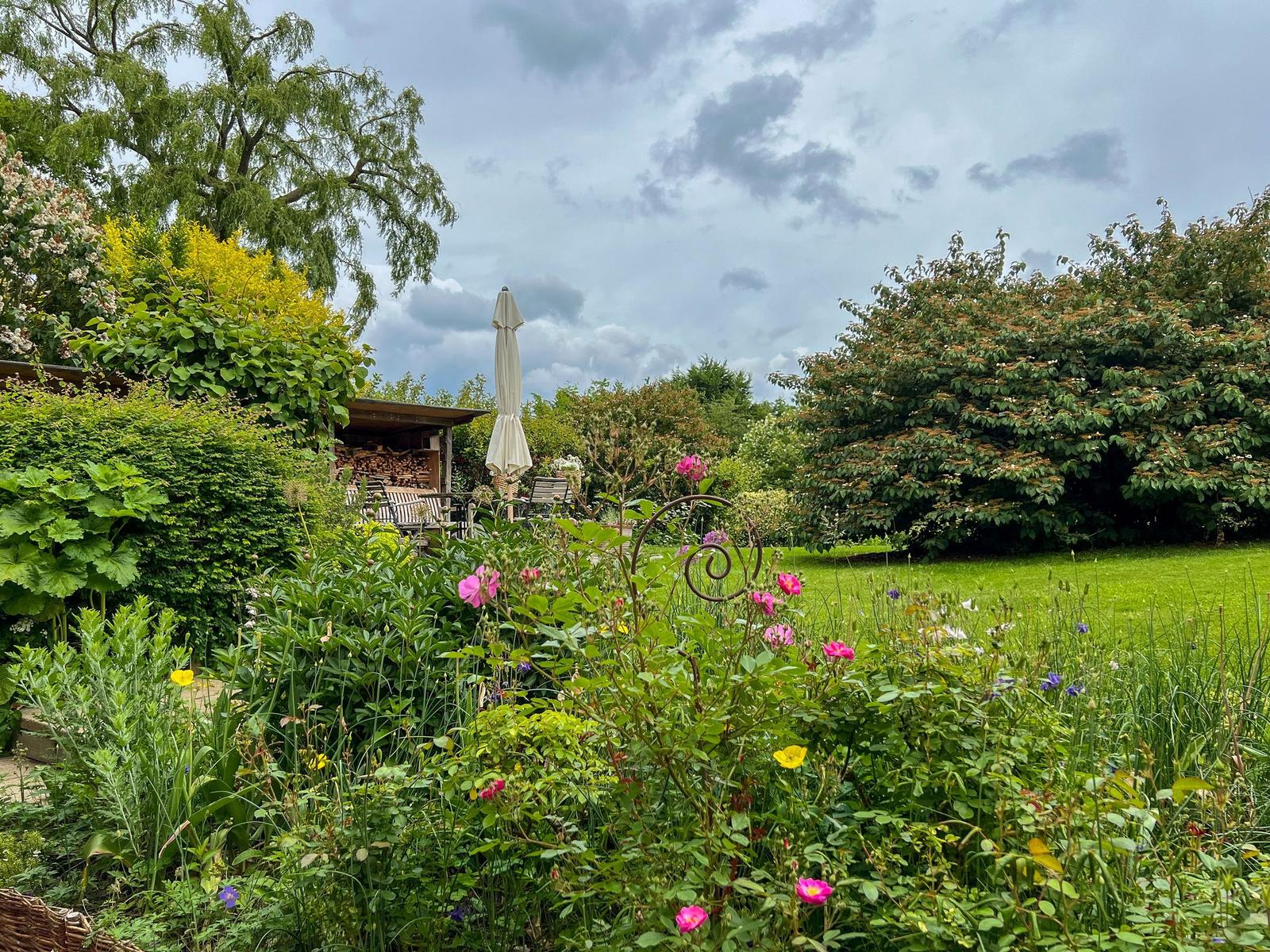 Garden with flowers, grass, and a closed umbrella.
