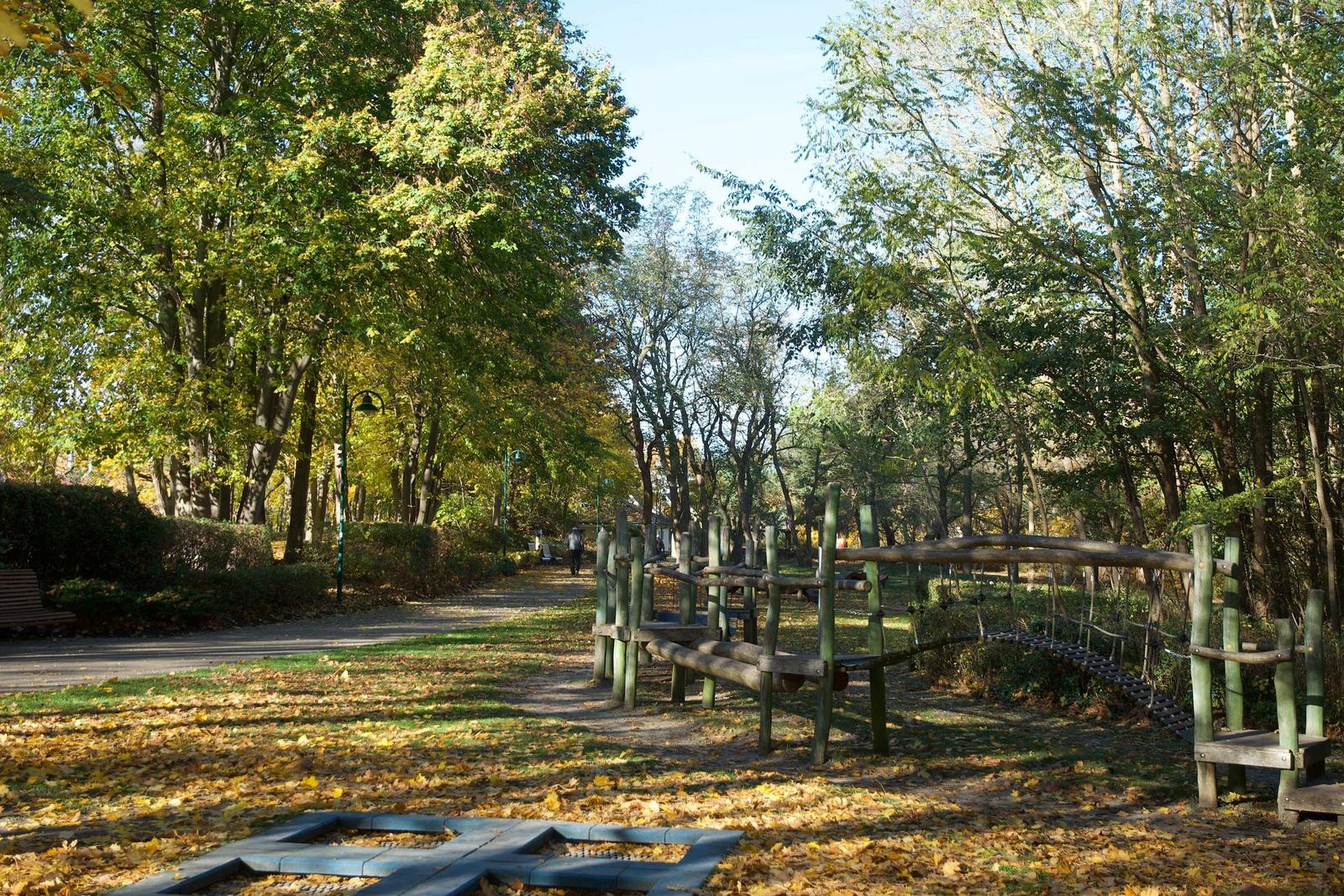 Waldweg mit Holzspielplatz und Herbstlaub unter Bäumen.