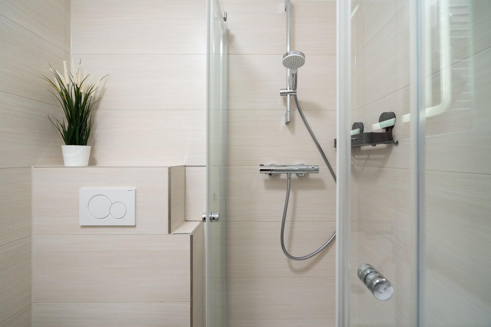 Shower with glass enclosure, showerhead, and handheld shower. Toilet with seat. Plant on the edge.