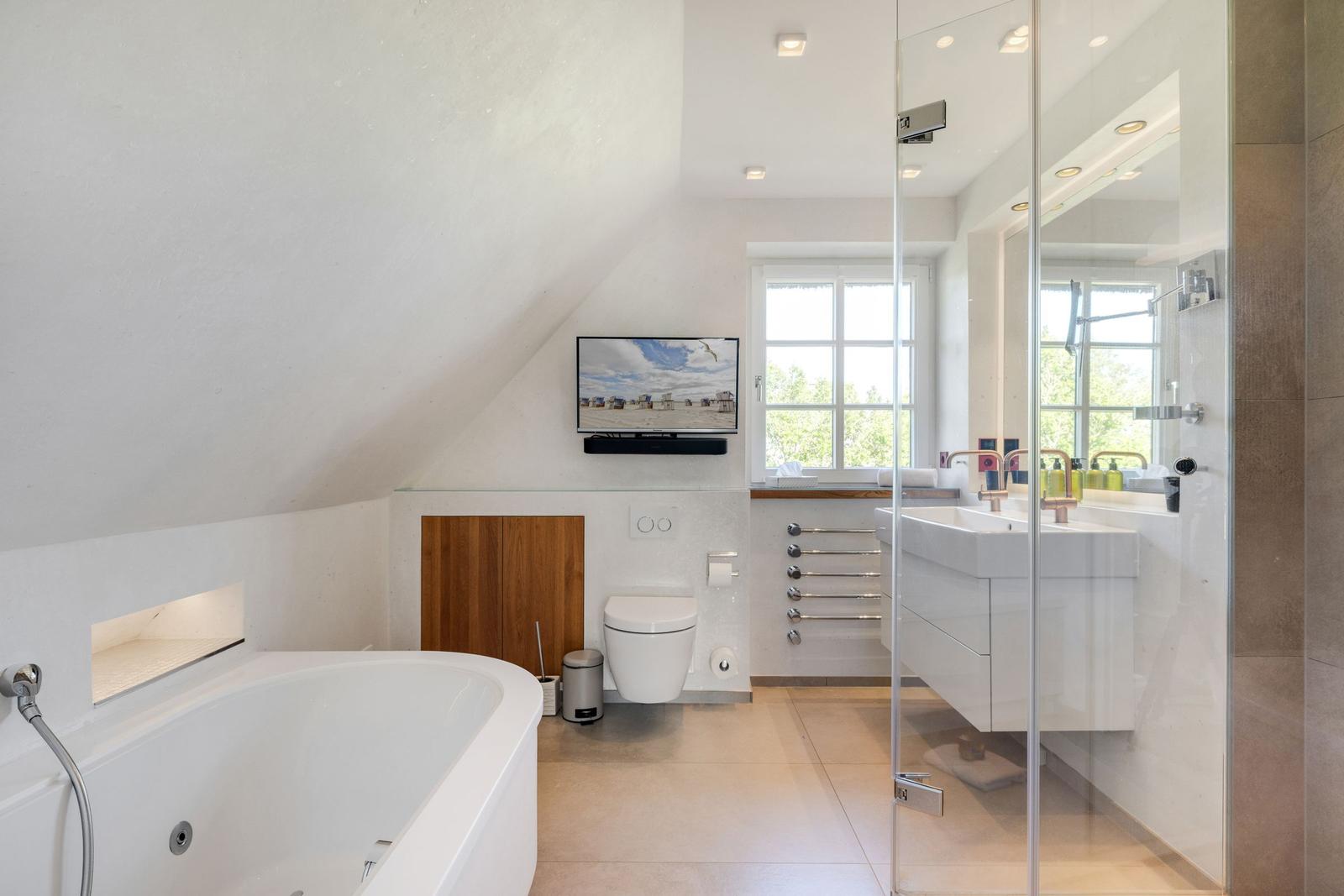 Duschbereich mit Glaswand, Badewanne, Toilette und TV an der Wand.